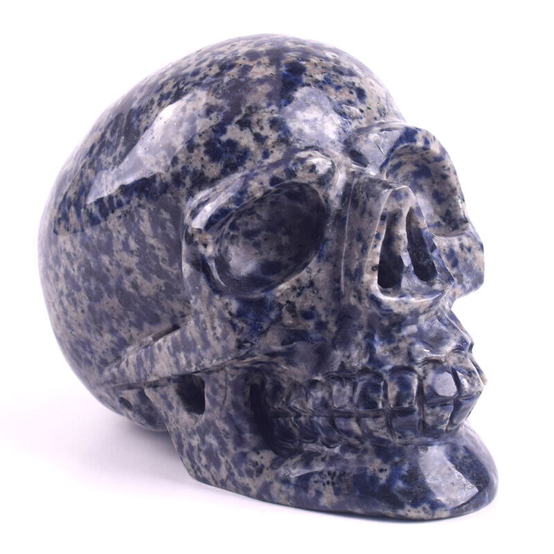 5.5 in Natural Sodalite Carved Crystal Skull,Reiki Healing,Super Realistic
