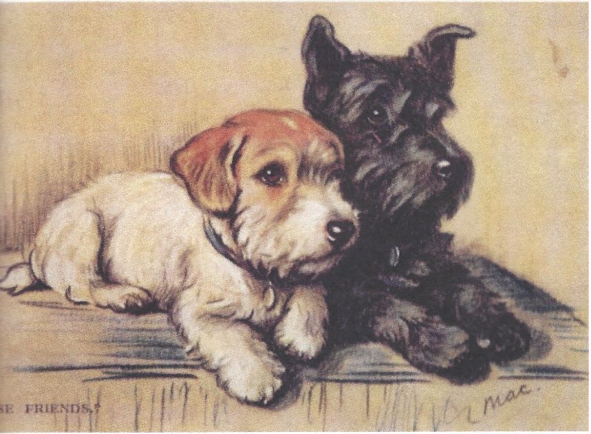 Scottish Terrier - CUSTOM MATTED - Dog Art Print - Lucy Dawson NEW