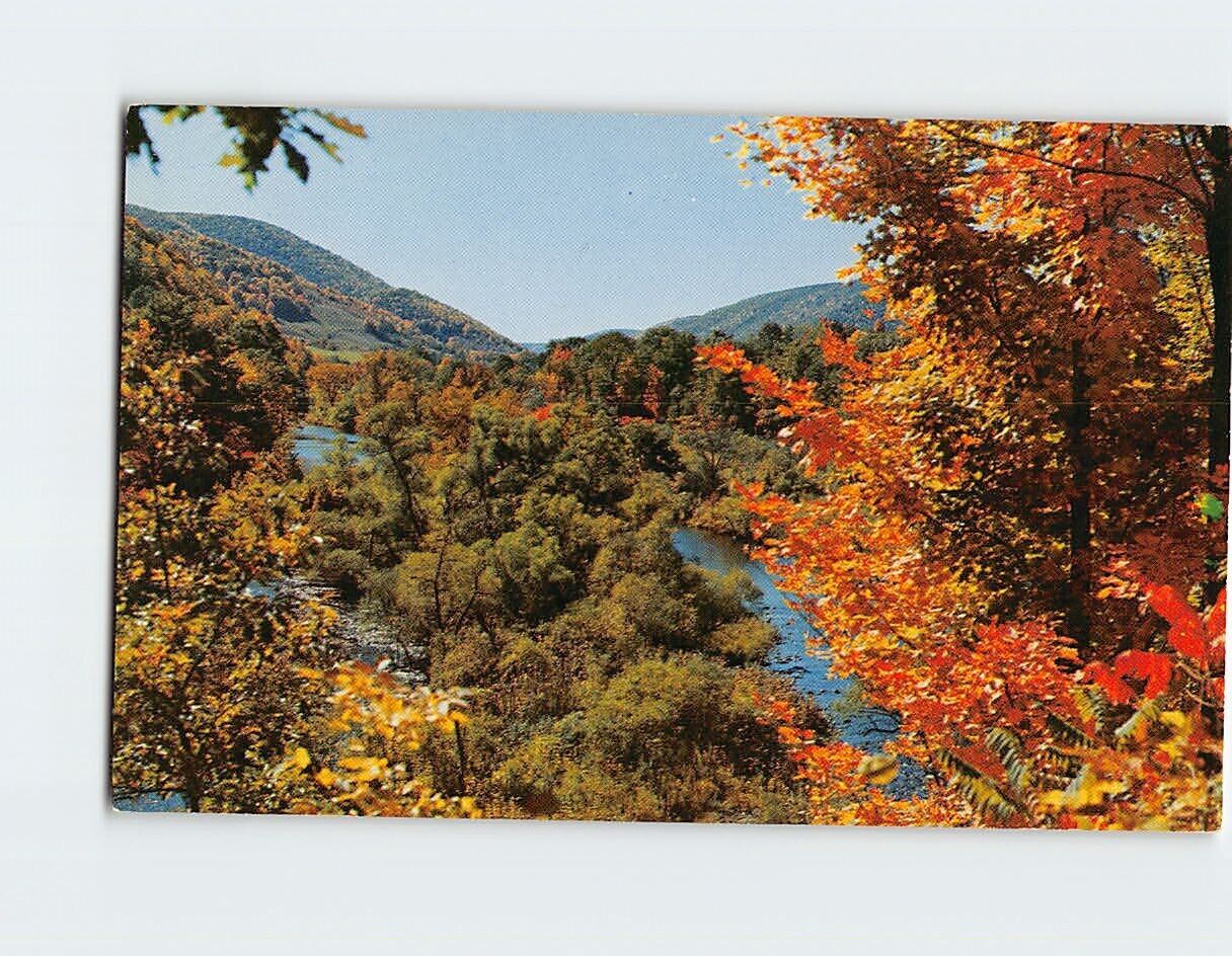 Postcard Gorgeous Fall Color