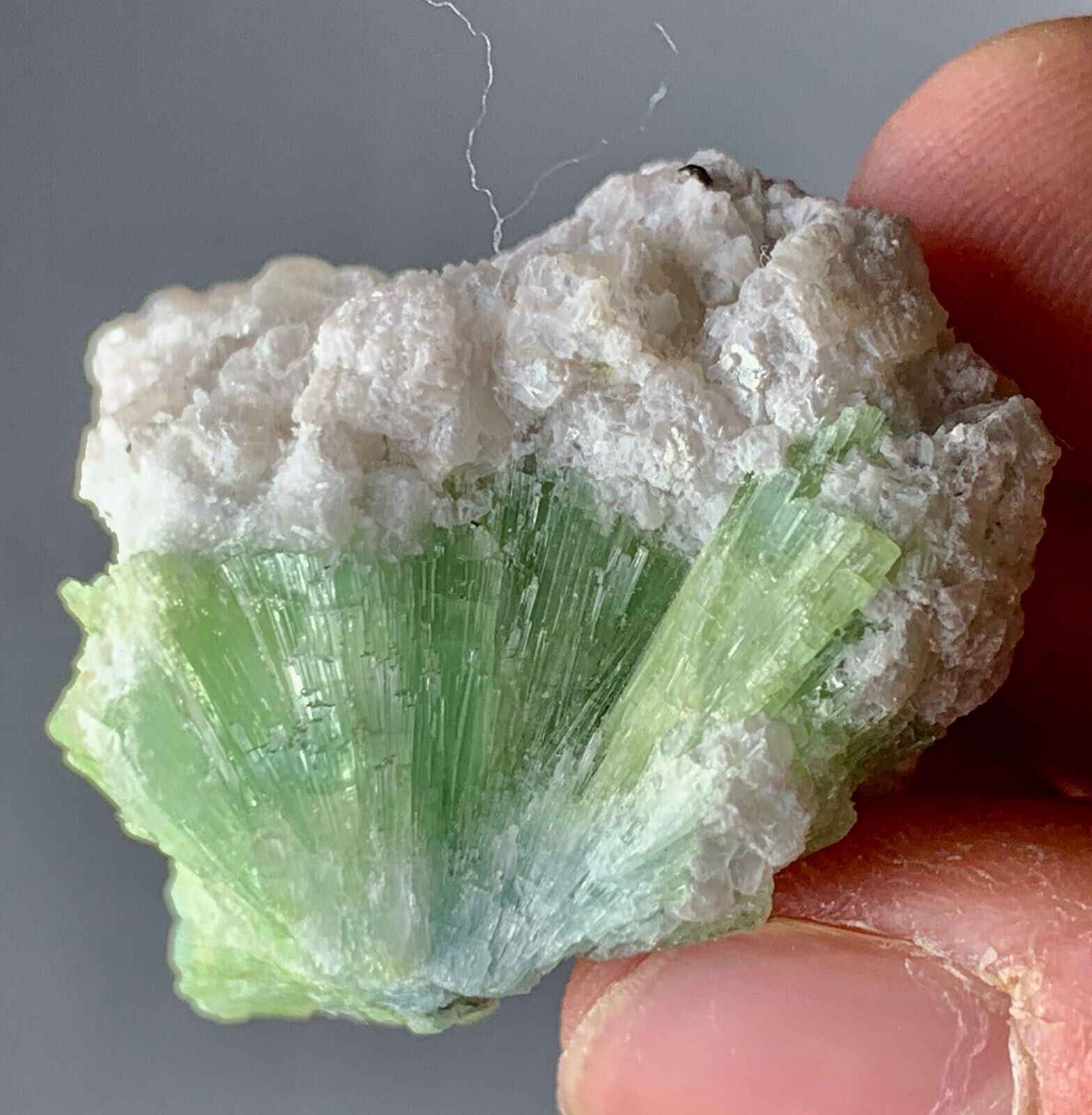 166 CT Bunch Of Tourmaline Crystal From Afghanistan