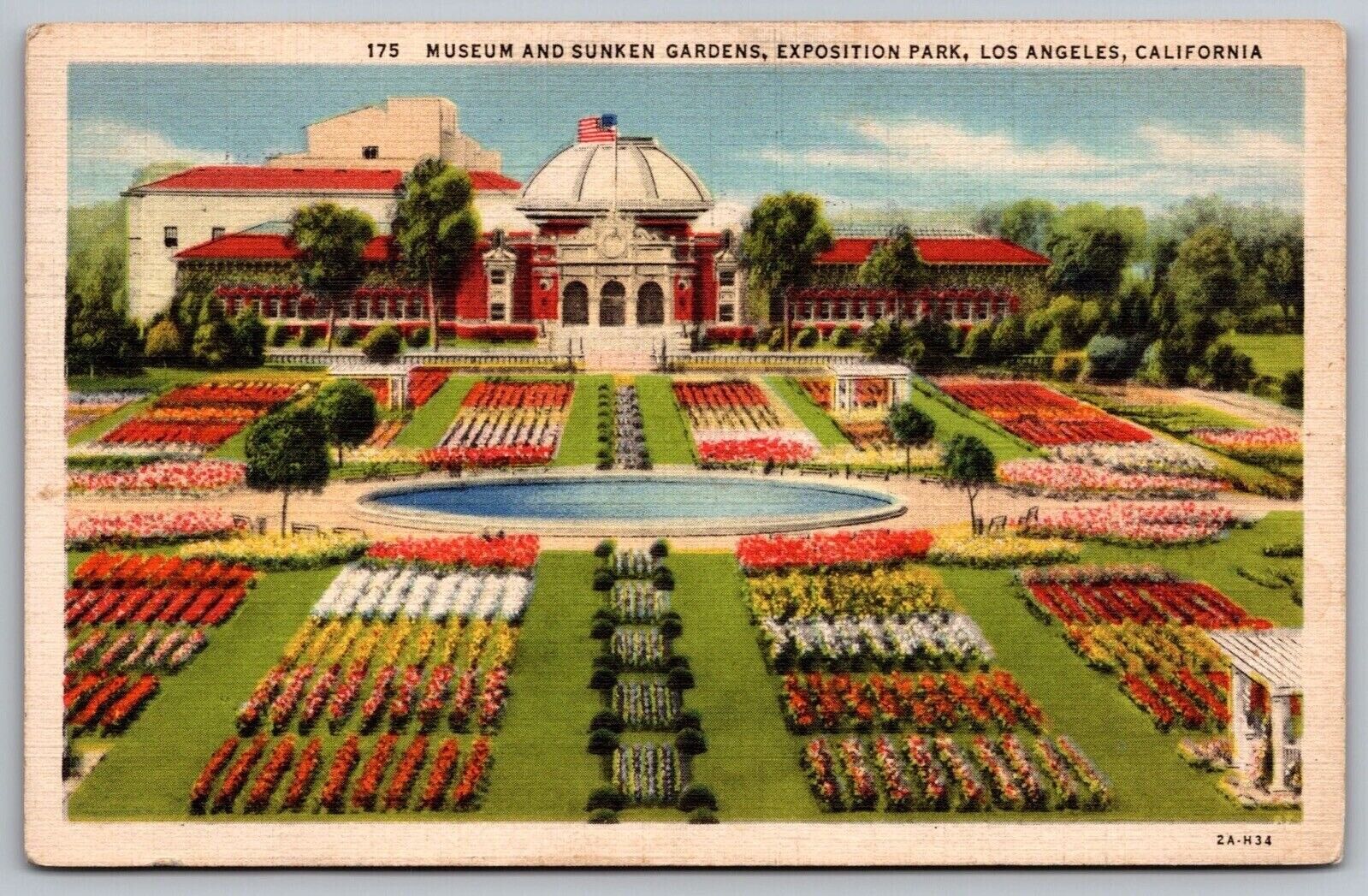 Museum Sunken Gardens Exposition Park Los Angeles California Flowers PM Postcard