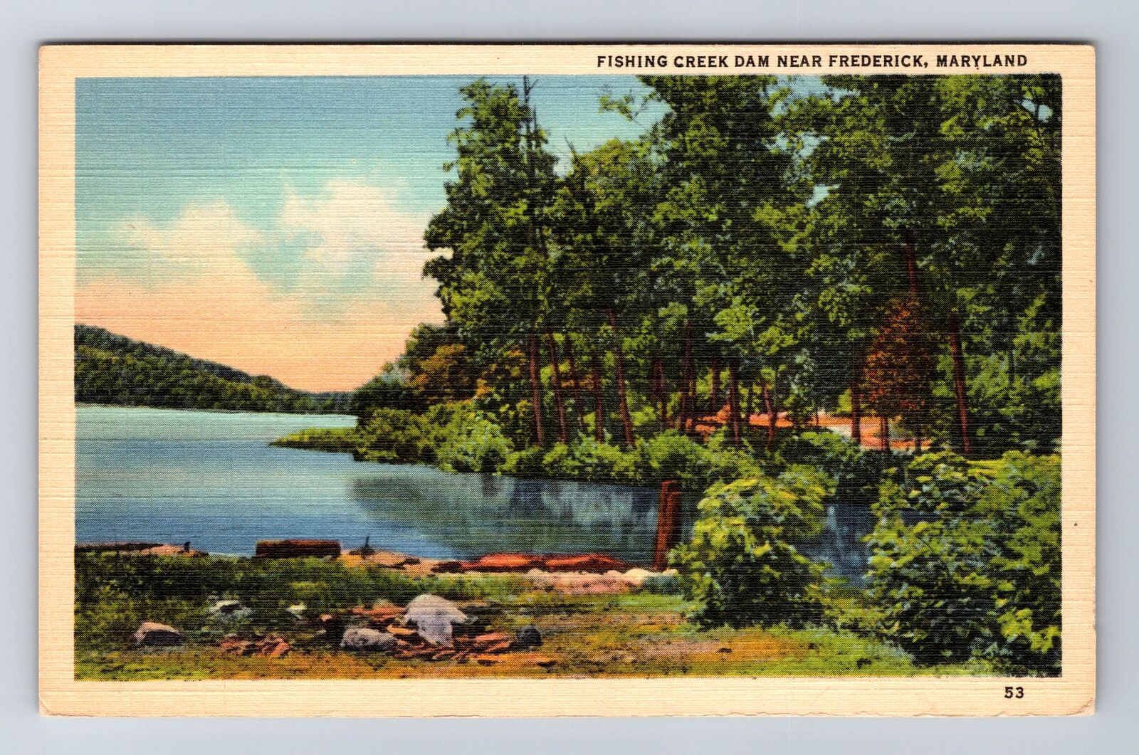 Frederick MD-Maryland, Fishing Creek Dam, Antique, Vintage Postcard