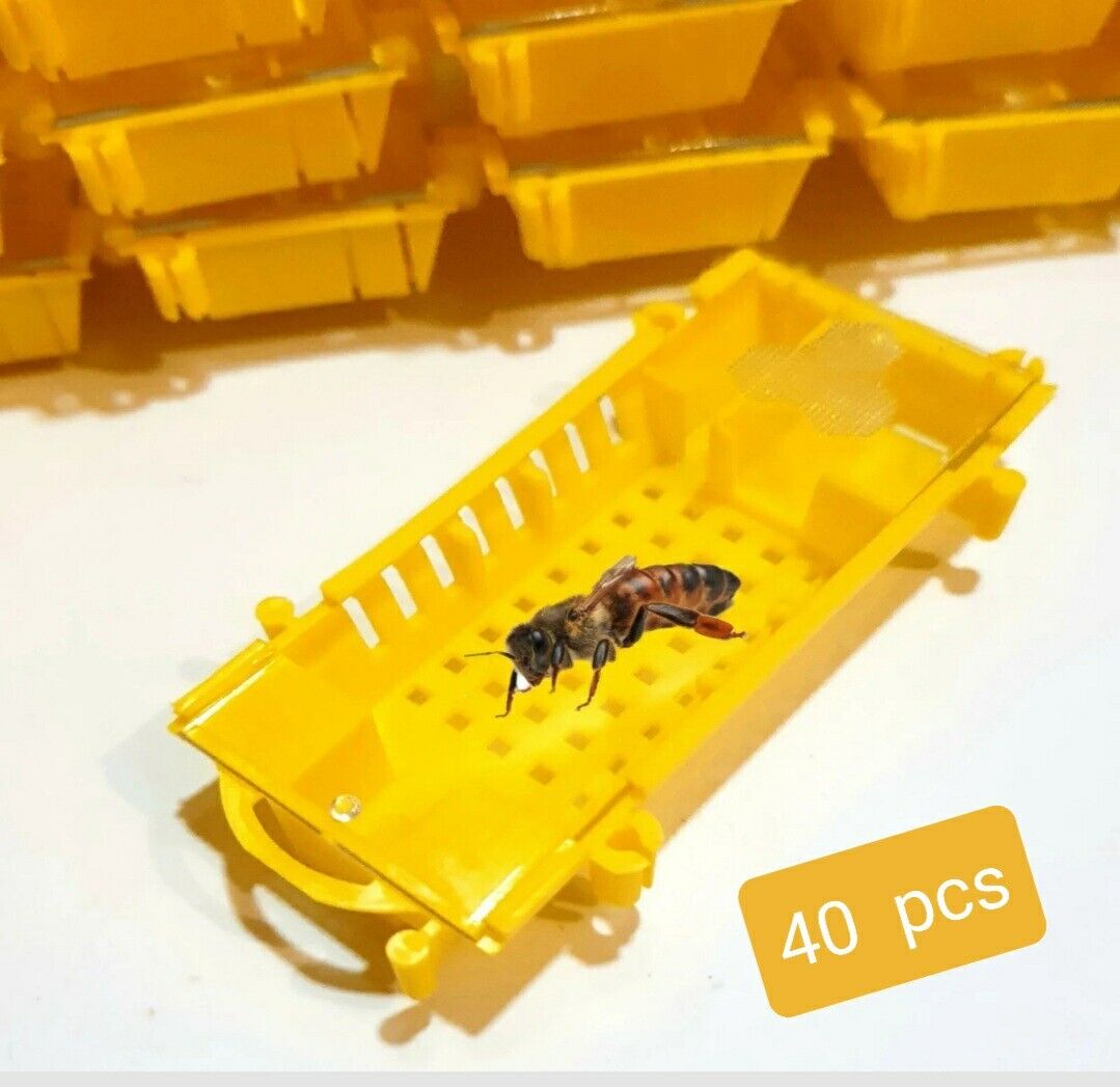 Set 40 pcs Bee Boxes for Postal transportation Queen 