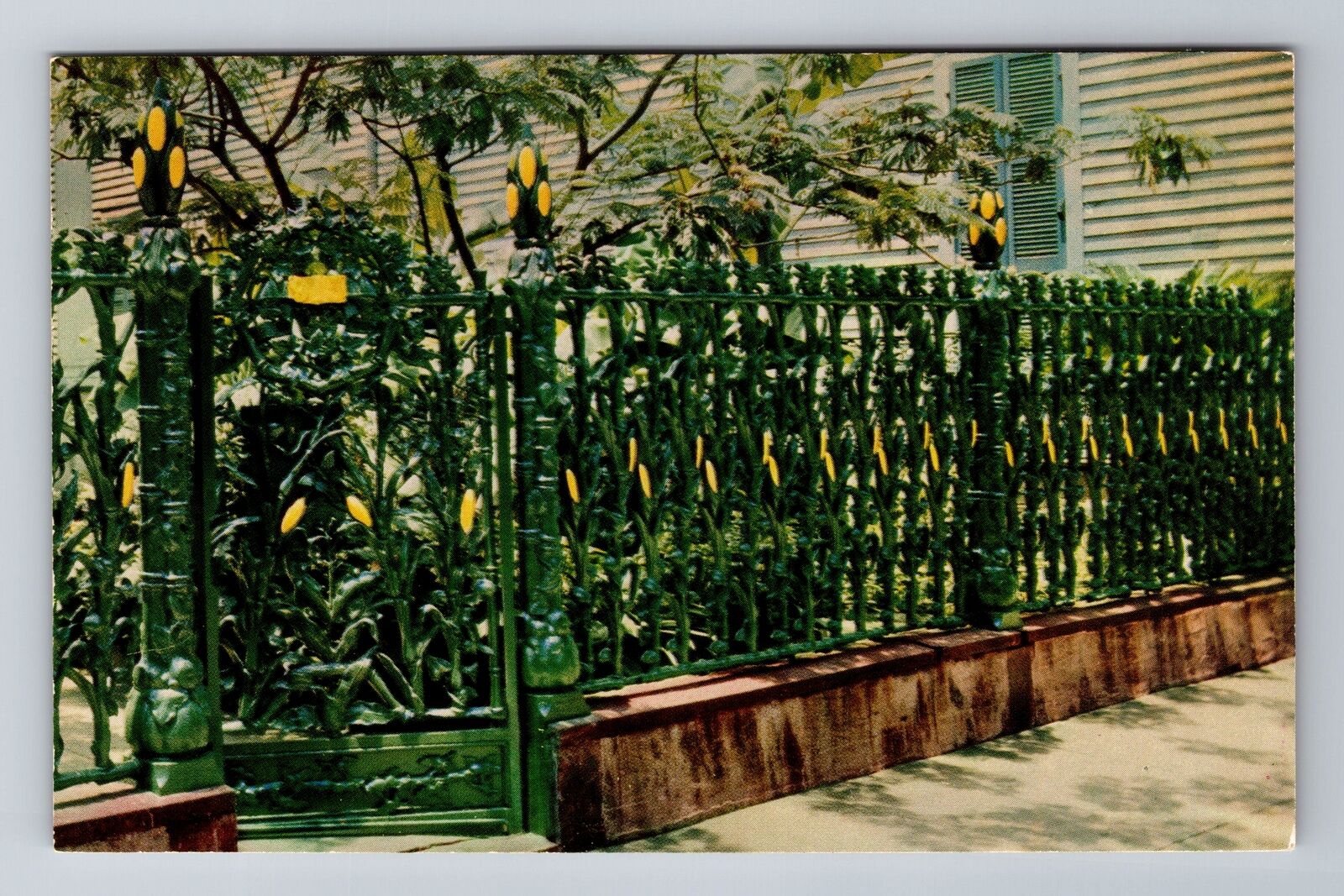 New Orleans LA-Louisiana, Cornstalk Fence, Antique Vintage Souvenir Postcard