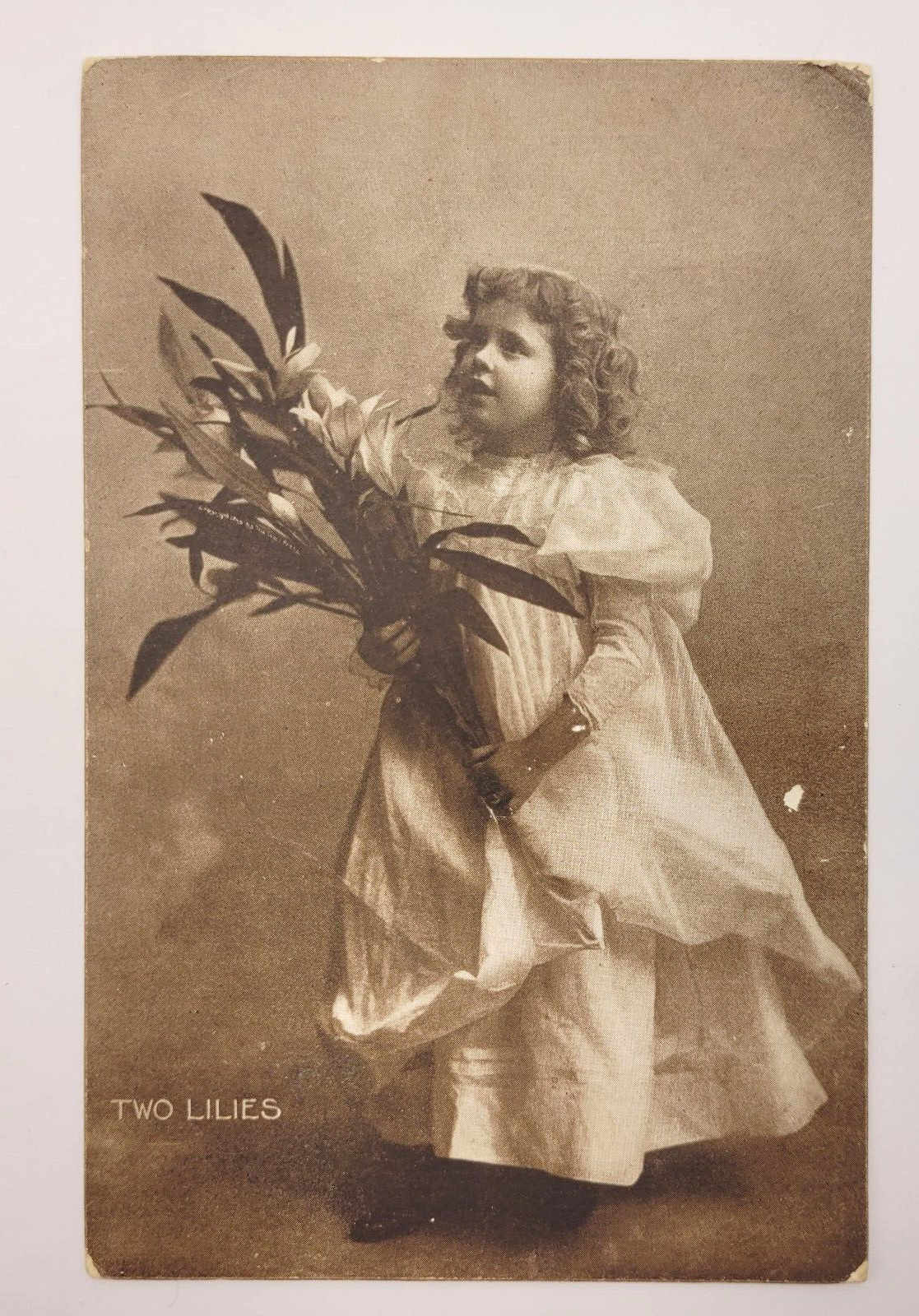 TWO LILIES Antique 1908 Little Girl with Lilies Postcard Cancel Stamp Sheahans