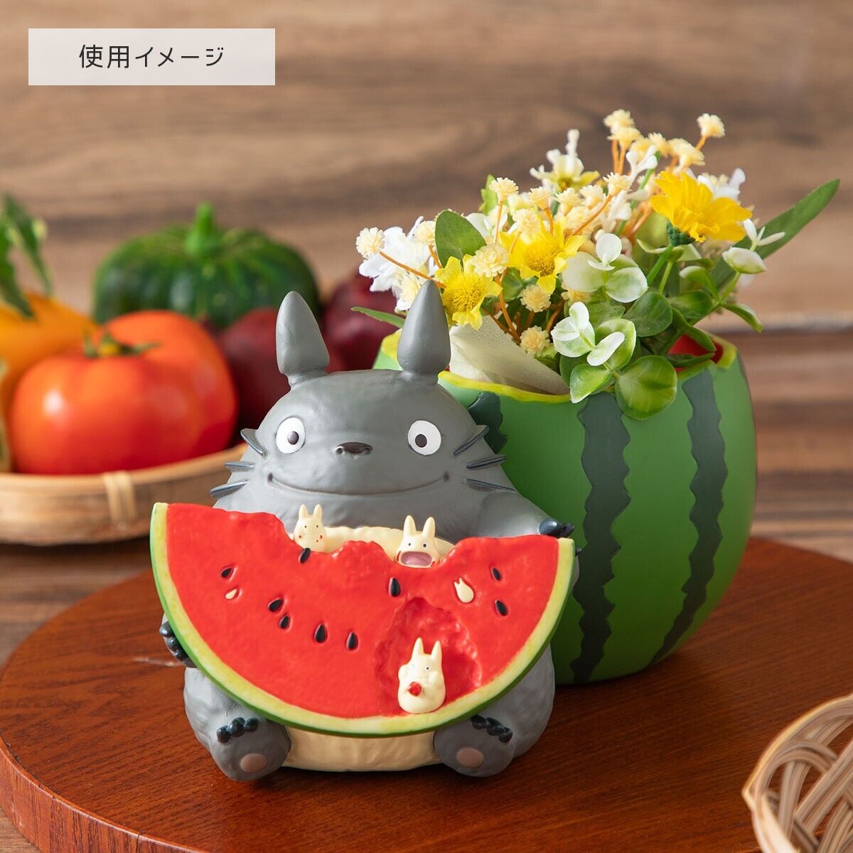 Studio Ghibli My Neighbor Totoro Planter Cover from Watermelon field NEW