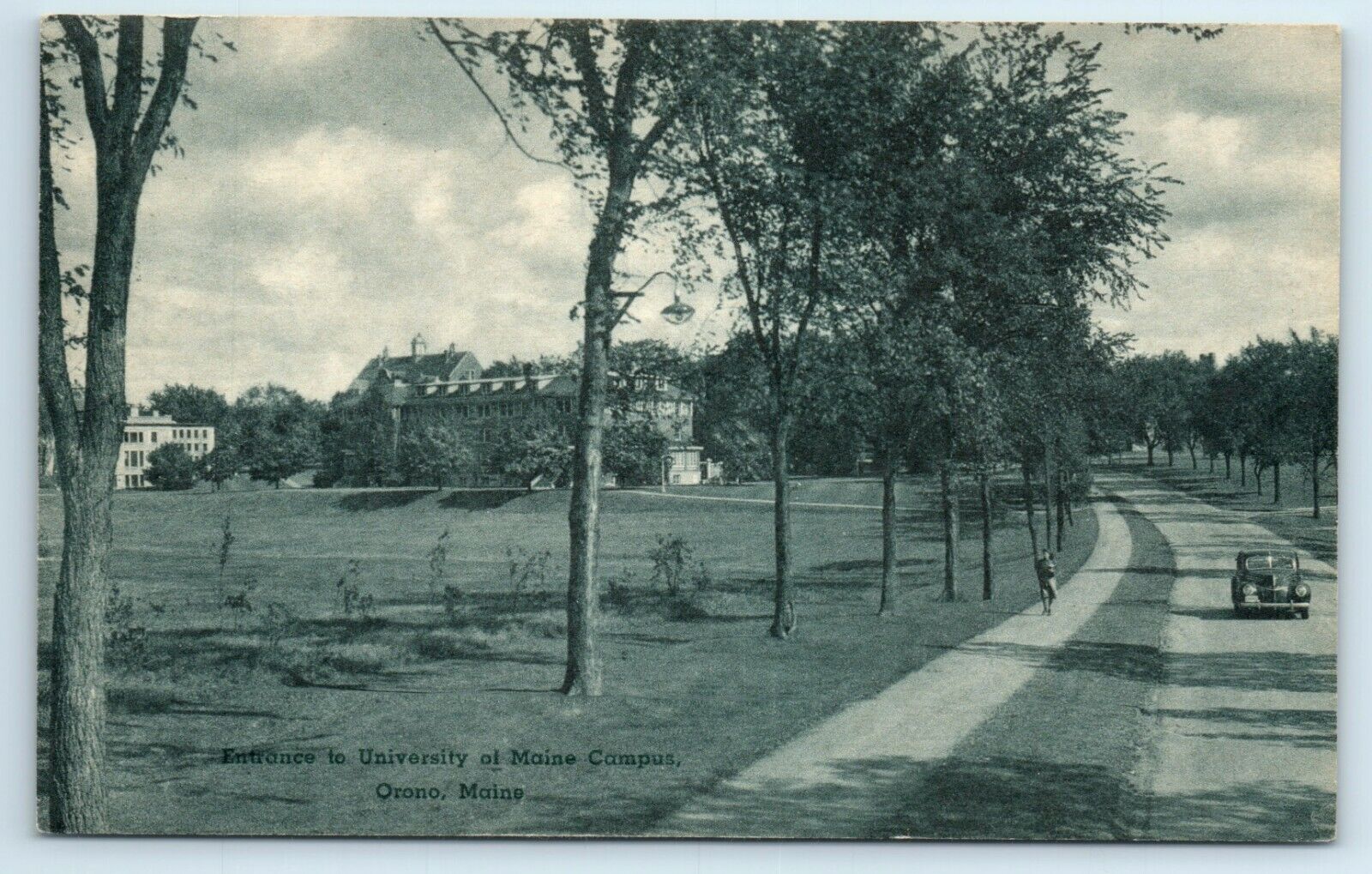 Postcard Entrance to University of Maine Campus, Orono A108
