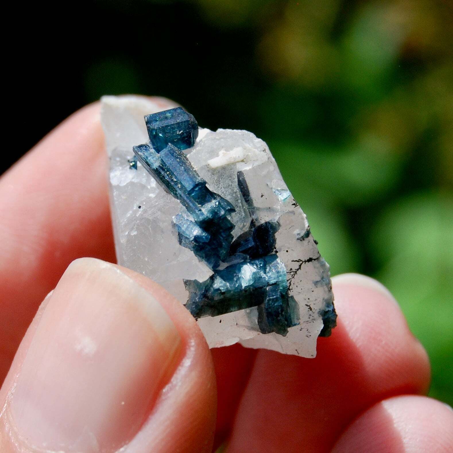 48ct Blue Tourmaline Crystal Cluster, Indicolite Tourmaline Crystal on Matrix, B