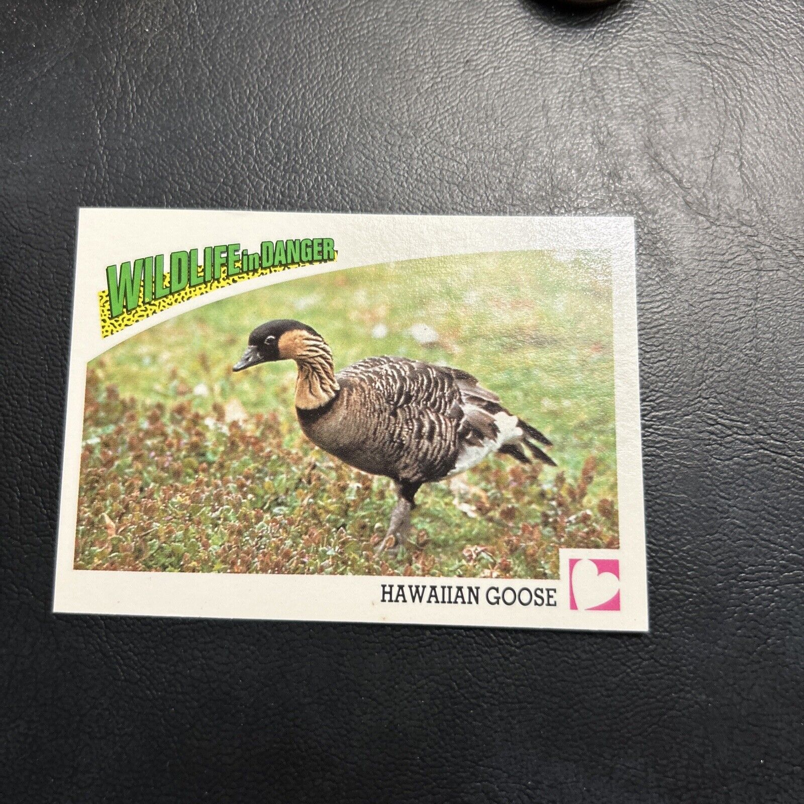 B30s Wildlife In Danger 1992 WWF World Fund #100 Hawaiian Goose