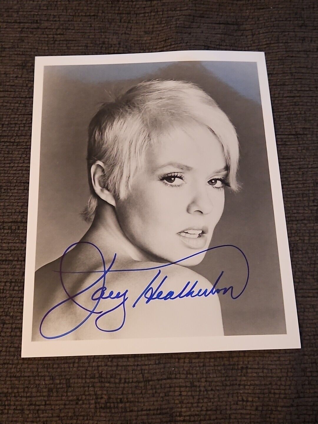 Joey Heatherton Actress Singer Dancer Signed 8x10 Black & White Promo Photograph