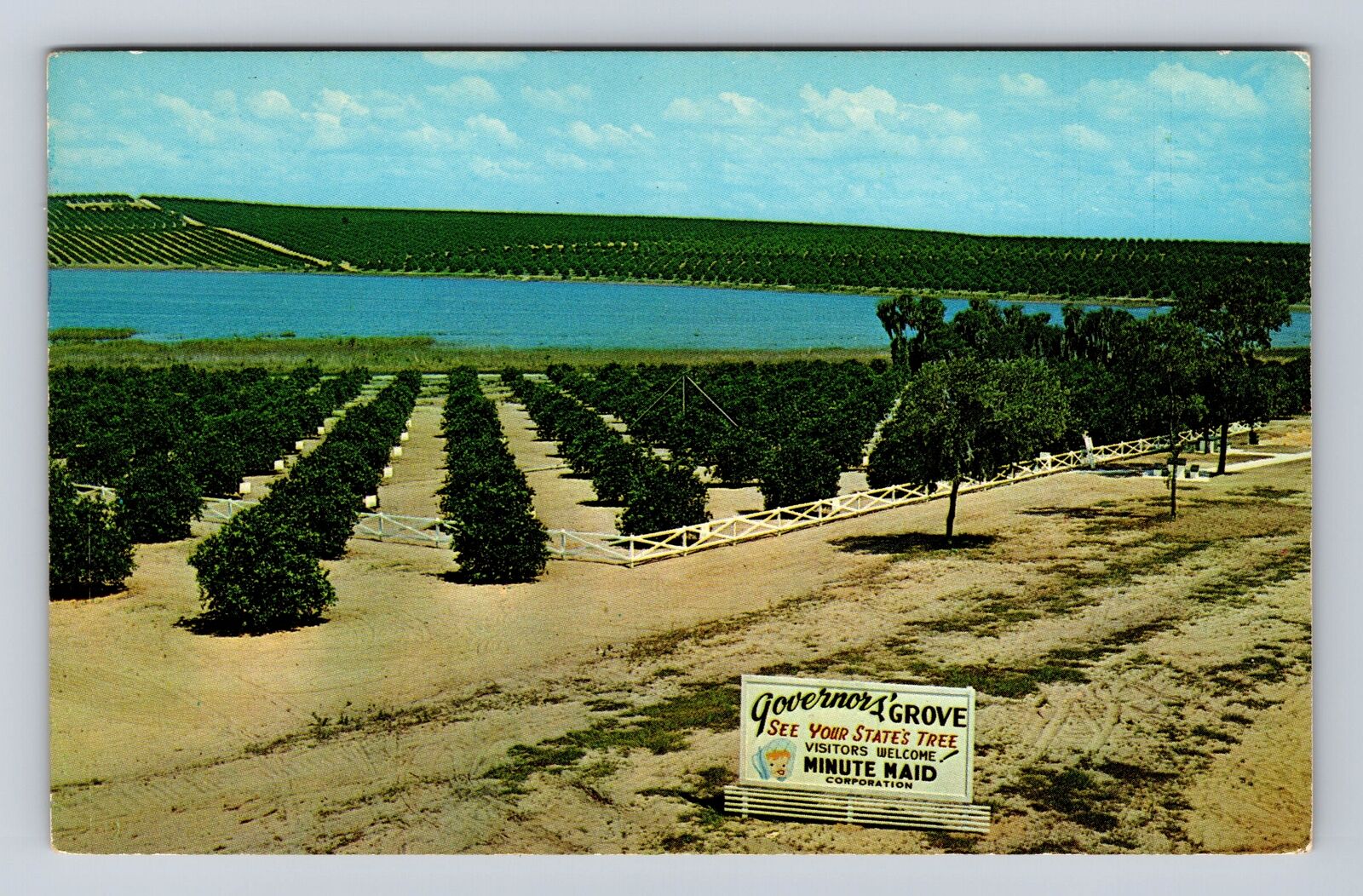 Clermont FL- Florida, Governors Grove, Antique, Vintage Souvenir Postcard