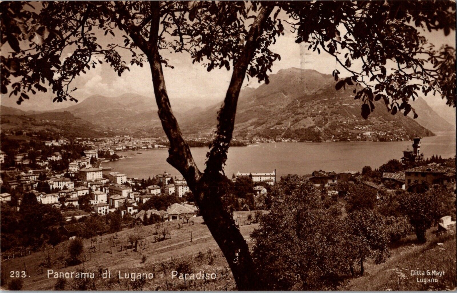 Panorama di Lugano Lake & City Paradiso Switzerland 1924 Postcard RPPC Photo
