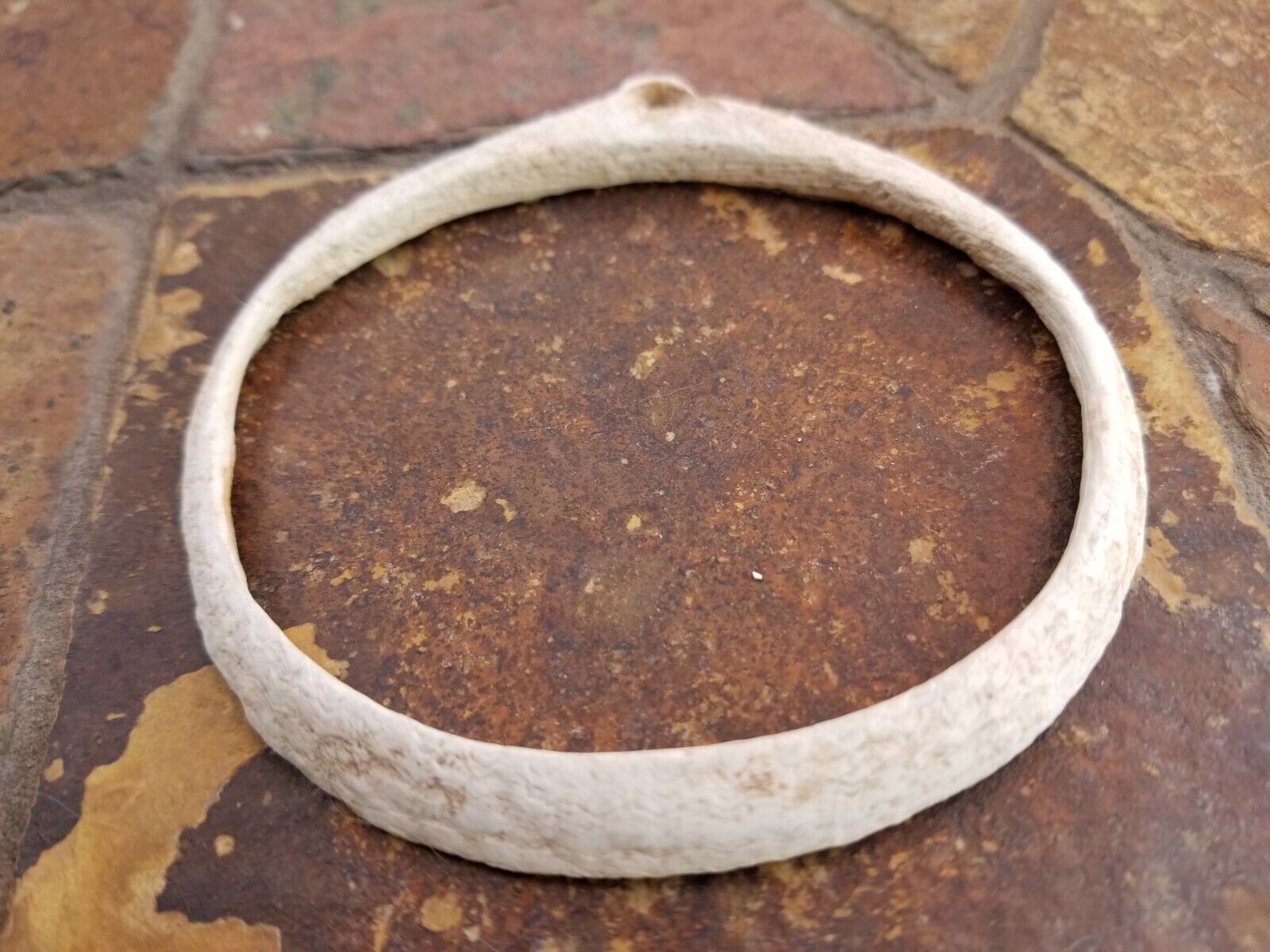 Ancient Authentic Hohokam Anasazi Large Shell Bracelet/Pendant  3 1/4\