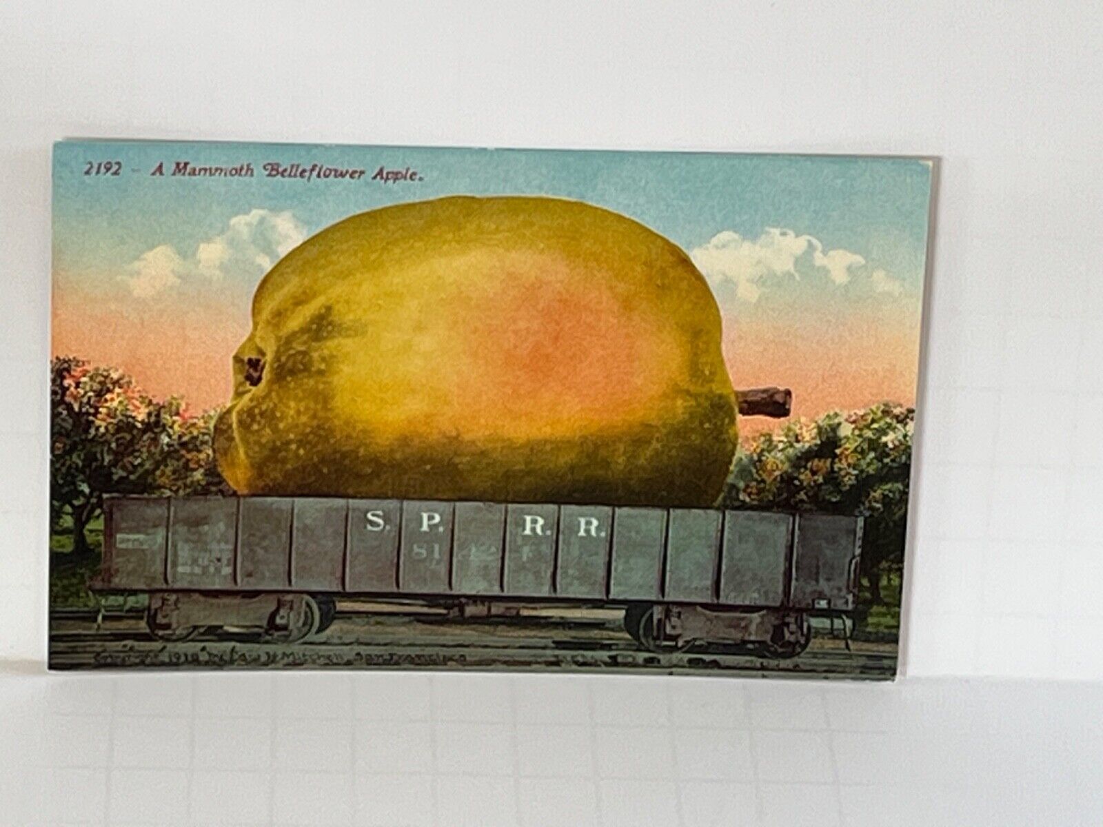 Postcard Exaggerated Apple on Train A8