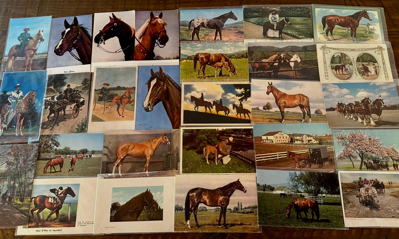 Big Lot of 31 Vintage Animal Postcards with Horses & Ponies~23 Unused~h653