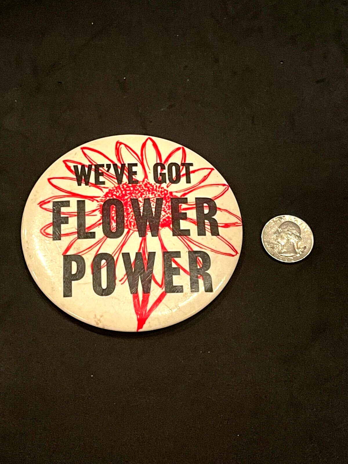 Vintage We've Got Flower Power Pinback Large Button
