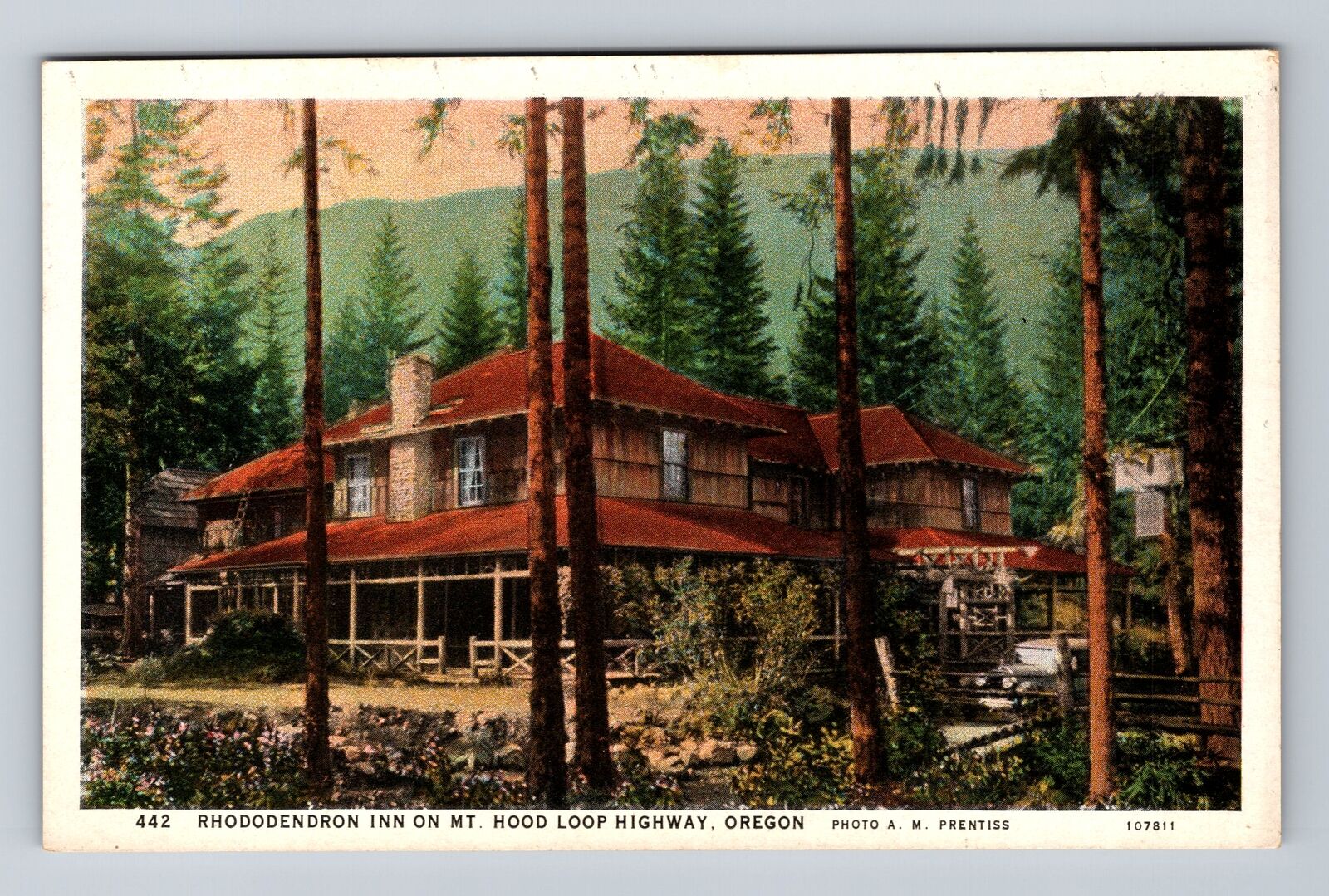 Mt Hood OR-Oregon, Rhododendron Inn, Advertising, Antique Vintage Postcard