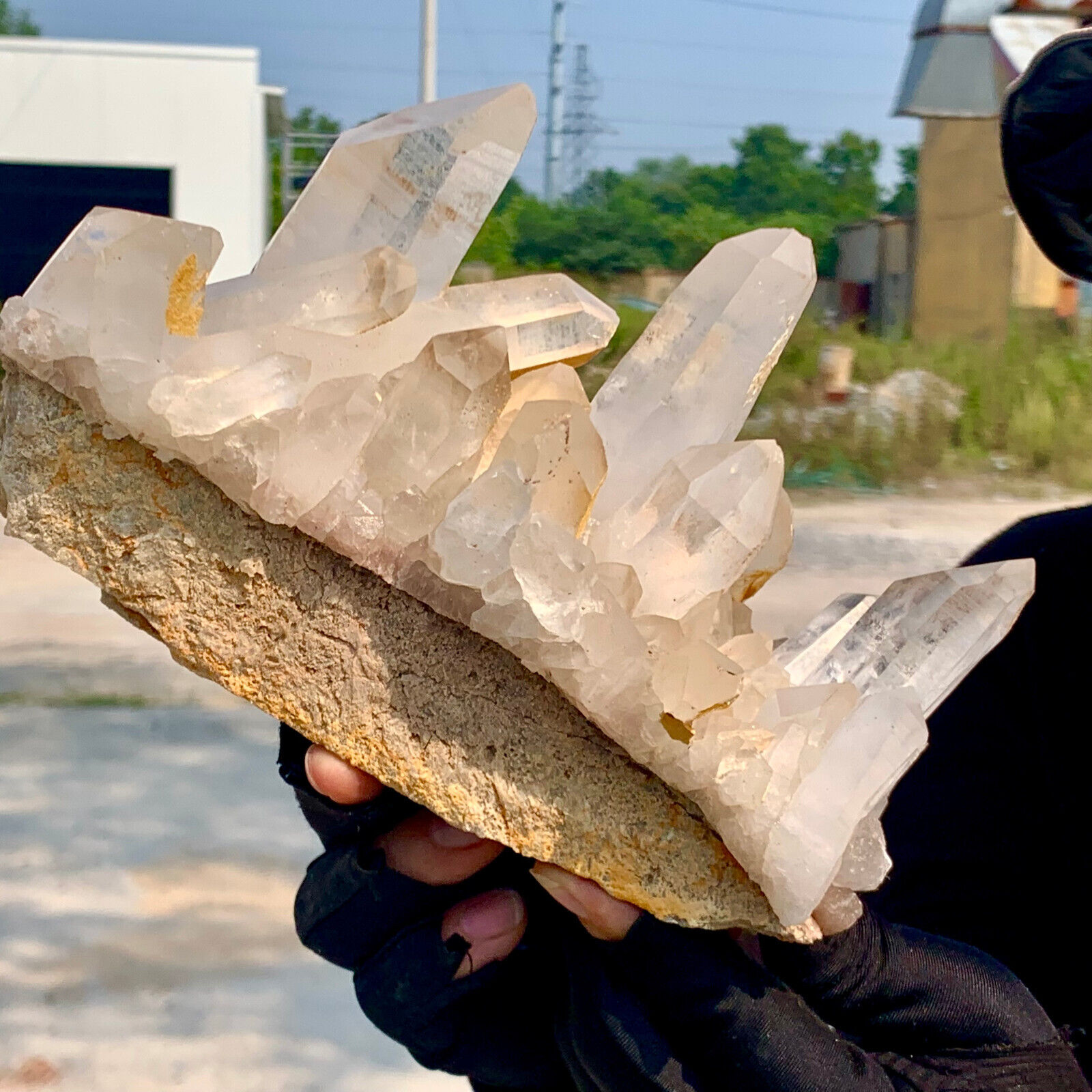 3.03LB A+++Large Natural white Crystal Himalayan quartz cluster /mineralsls