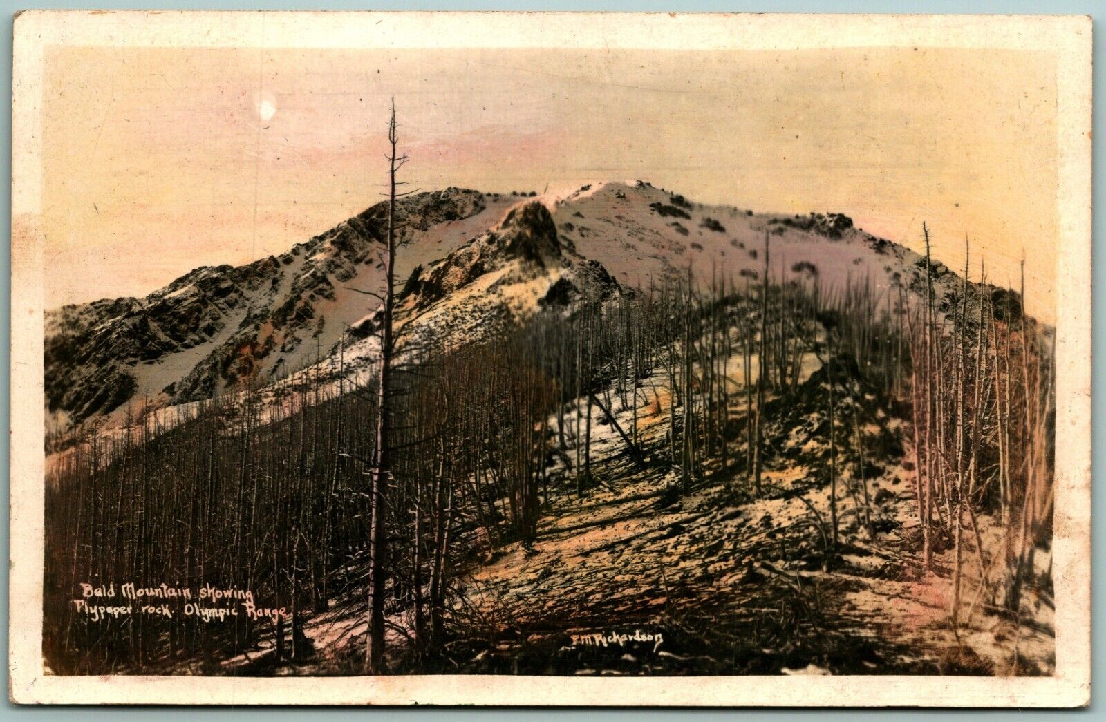 RPPC Tinted Bald Mountain Olympic Range WA Richardson Photo Postcard J1