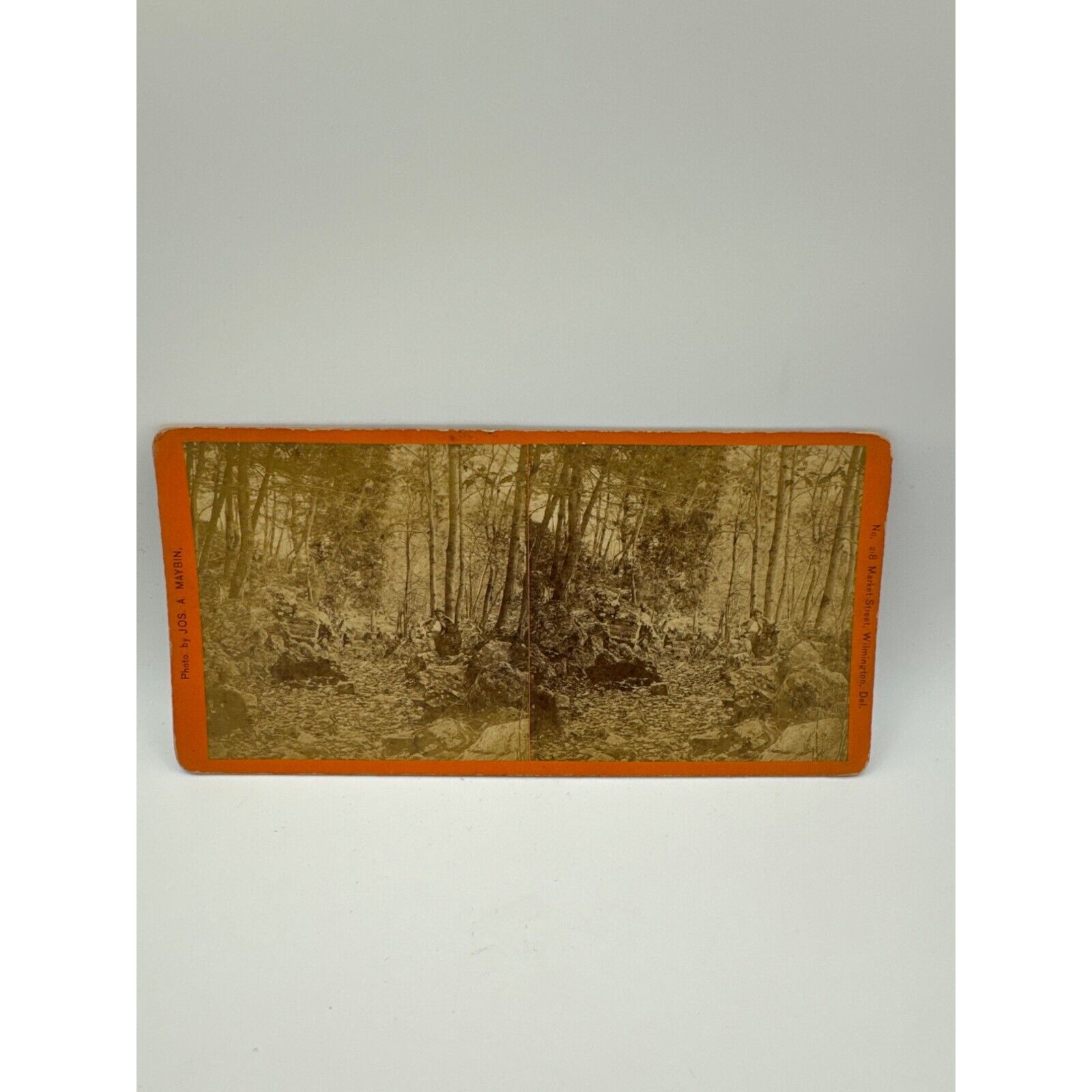 Antique Stereoscope Card  218 Market St Wilmington Del. Boy in Woods