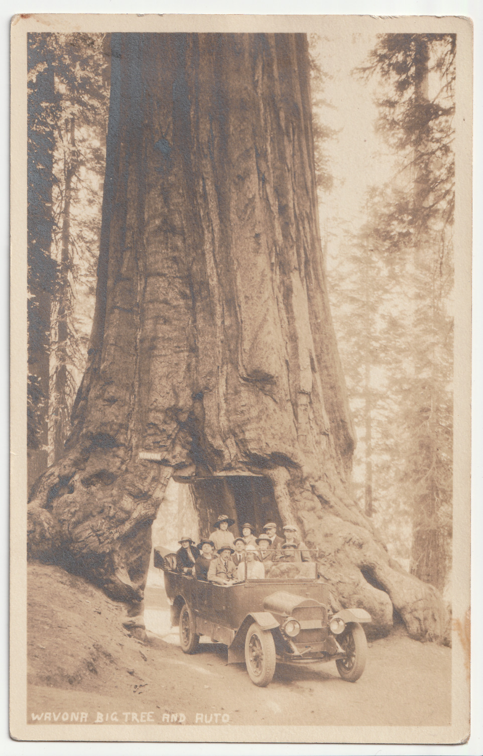 c1910-20s Car In Wawona Tunnel Sequoia Tree Yosemite Park California RPPC AZO