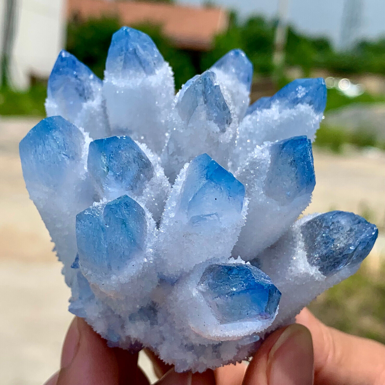 332G New Find BLUE PhantomQuartz Crystal Cluster MineralSpecimen