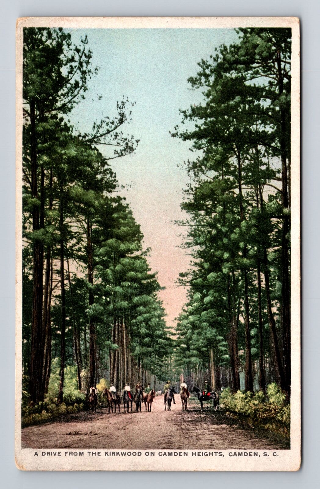 Camden SC-South Carolina, Drive From The Kirkwood, Antique, Vintage Postcard