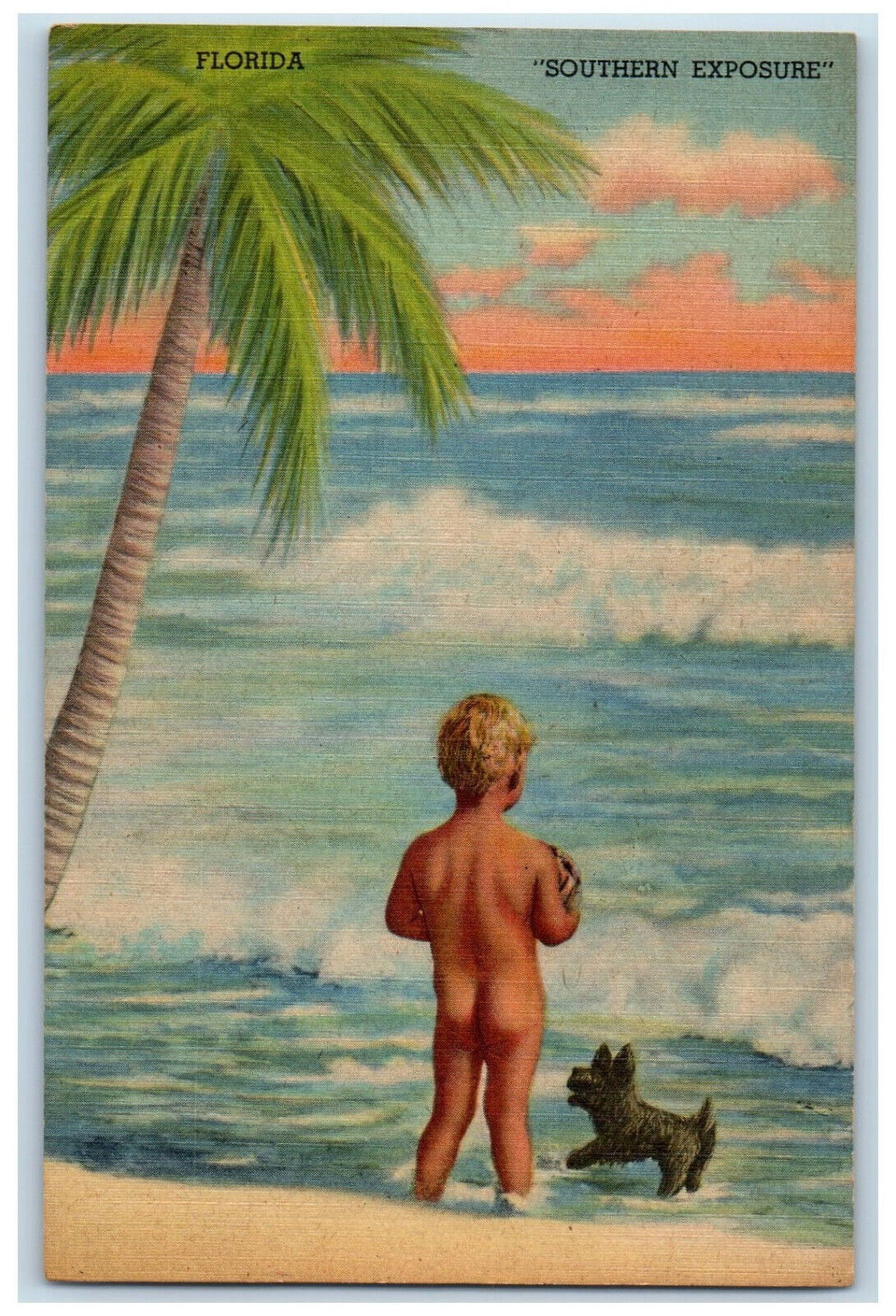 c1940\'s Kid Naked Dog,Wavy Beach Tree Southern Exposure Florida Antique Postcard