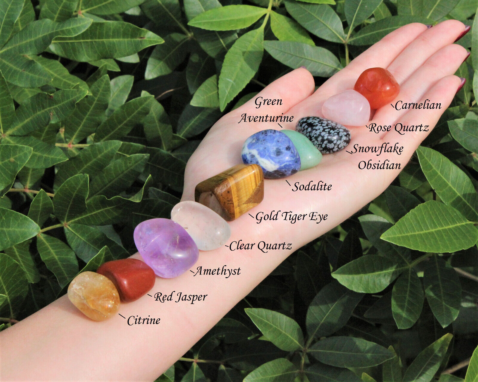 Beginners Crystal Kit, 10 pcs In Velvet Pouch - Most Popular Tumbled Crystals 