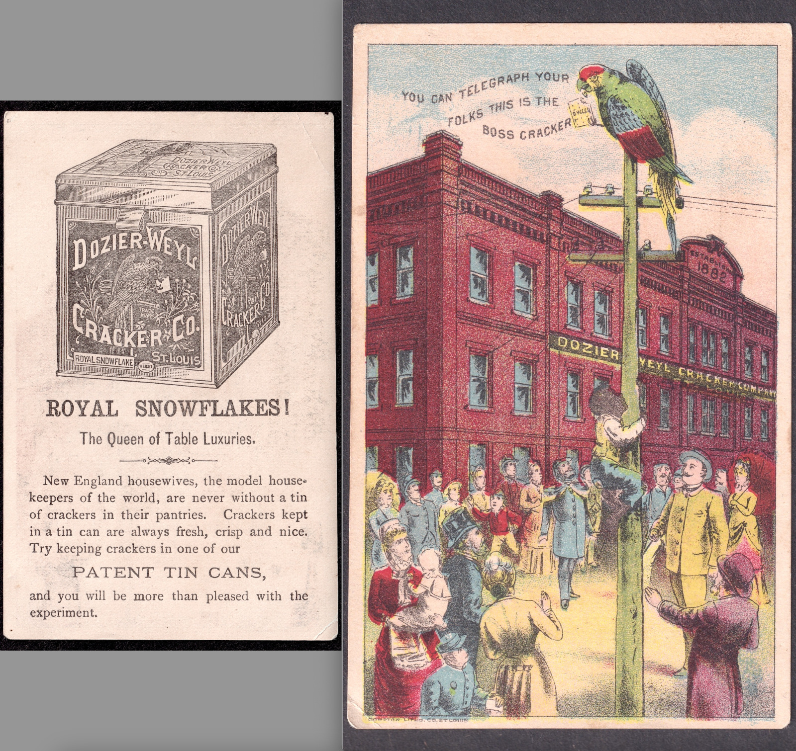 Dozier-Weyl Cracker Tin Can Parrot Telegraph Advertising Victorian Trade Card