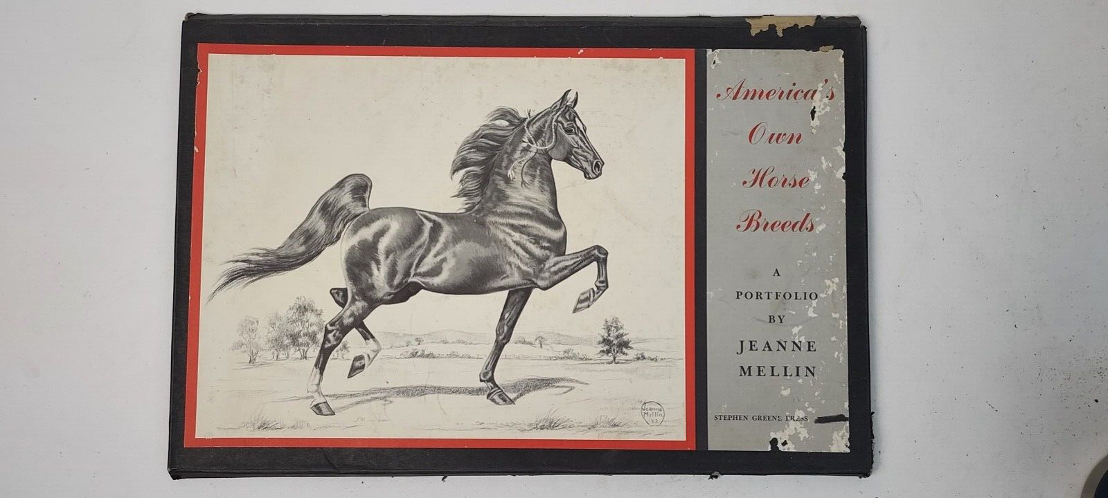 VINTAGE AMERICA'S OWN HORSE BREEDS ~ A PORTFOLIO BY JEANNE MELLIN ~ 1962