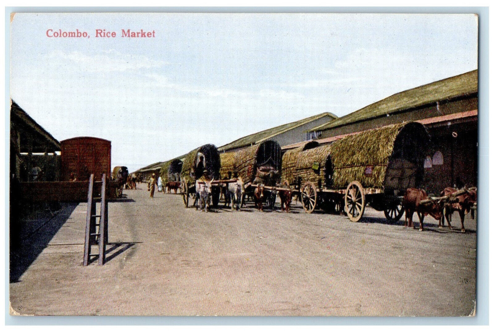 c1910 Animal Carriage Rice Market Colombo Sri Lanka Unposted Postcard