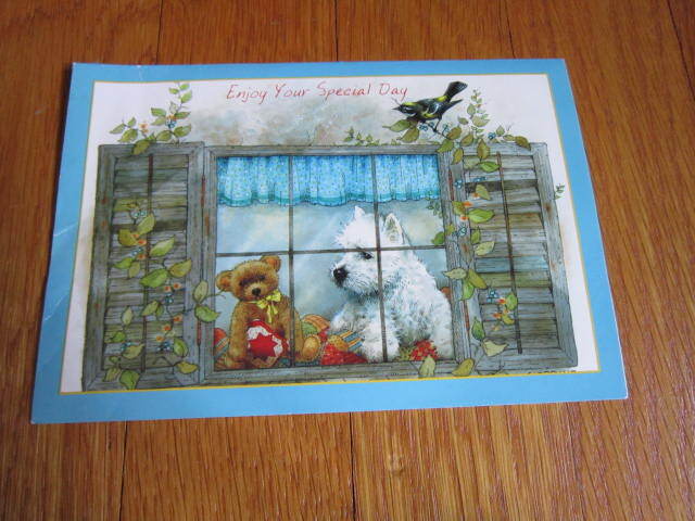 USED Card White Scottie Dog Teddy bear in window Giordano Studios 2005 Cute Art