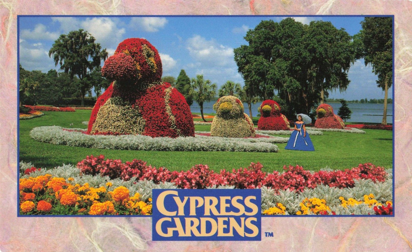 Cypress Gardens Florida, Spring Flower Festival, Vintage Postcard