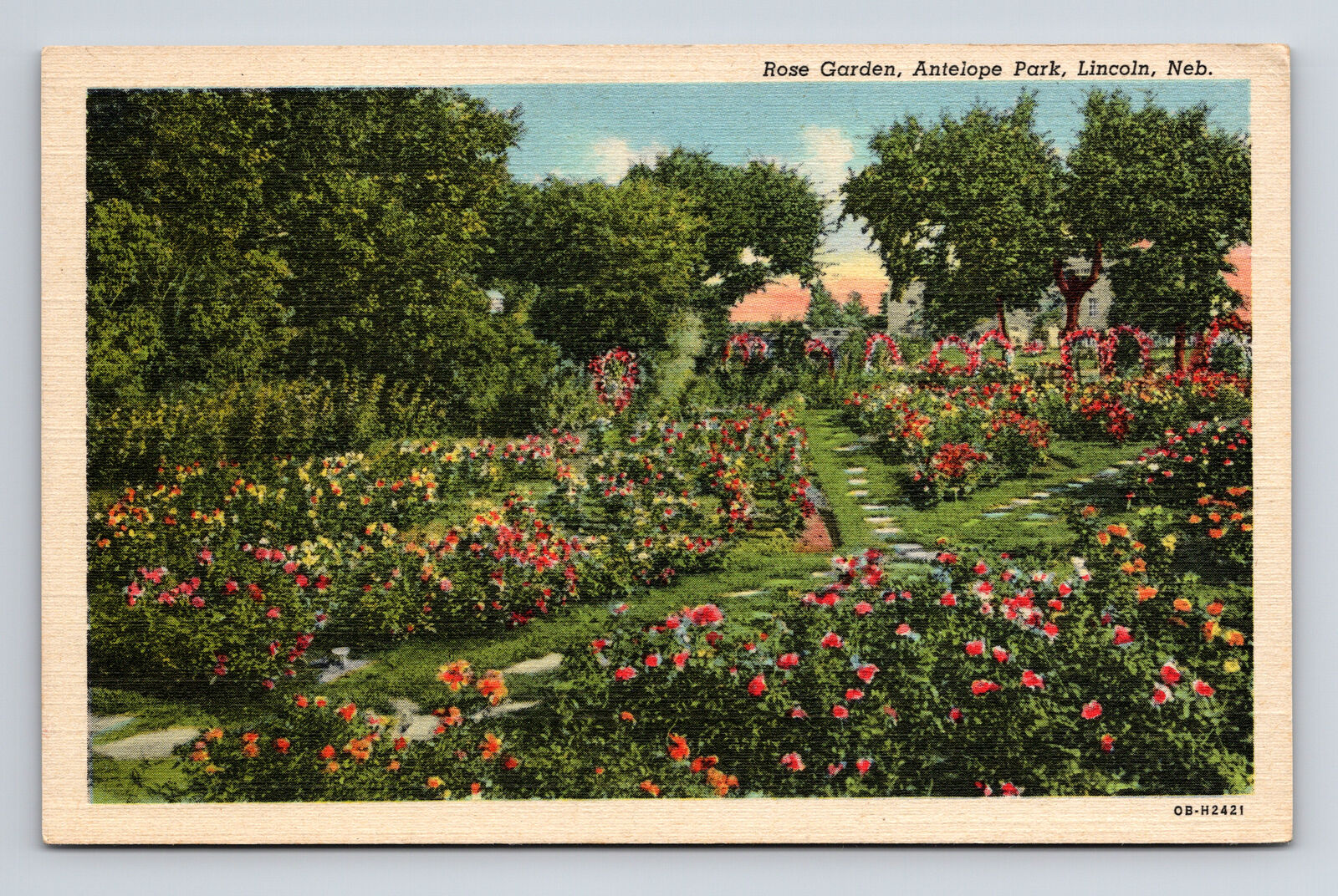c1940 Linen Postcard Lincoln NE Nebraska Antelope Park Rose Garden Flowers