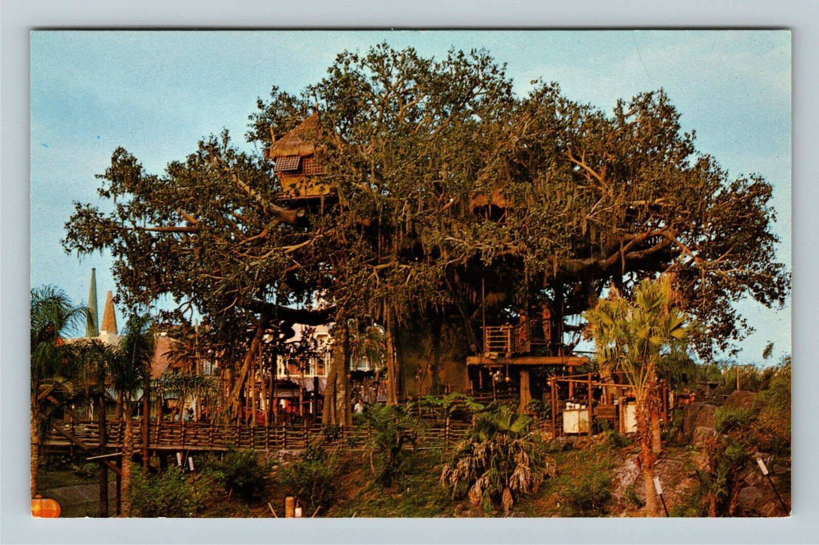 Orlando FL-Florida, Walt Disney World, Swiss Family Treehouse Vintage Postcard