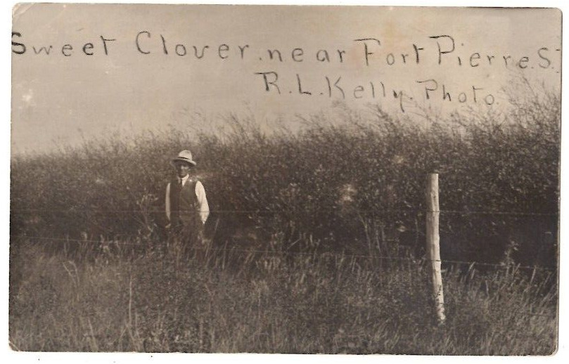 RPPC R L Kelly Photo Sweet Clover near Fort Pierre S Dakota Famous Photographer