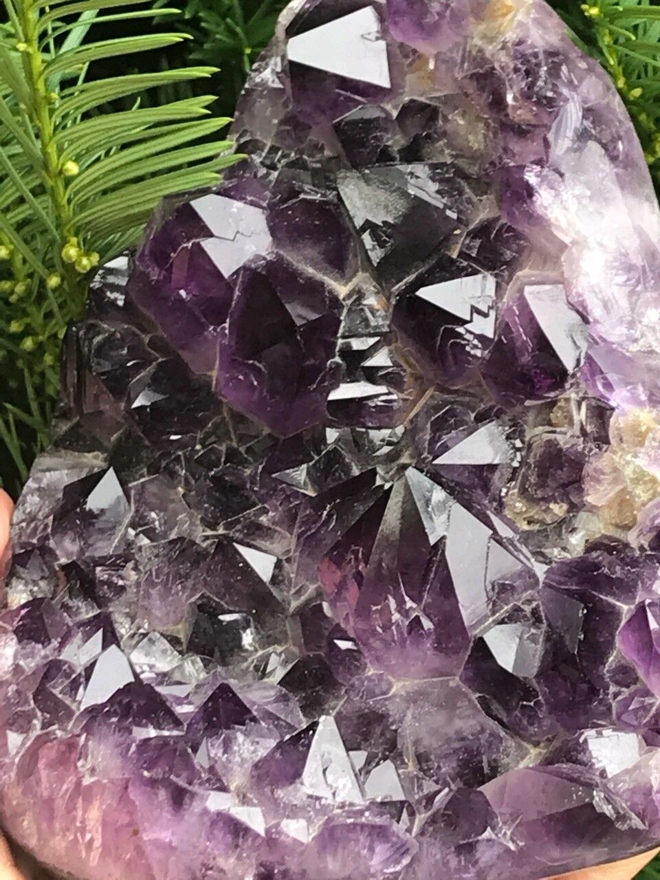 2.5lbs A Beautiful Large Amethyst Cluster