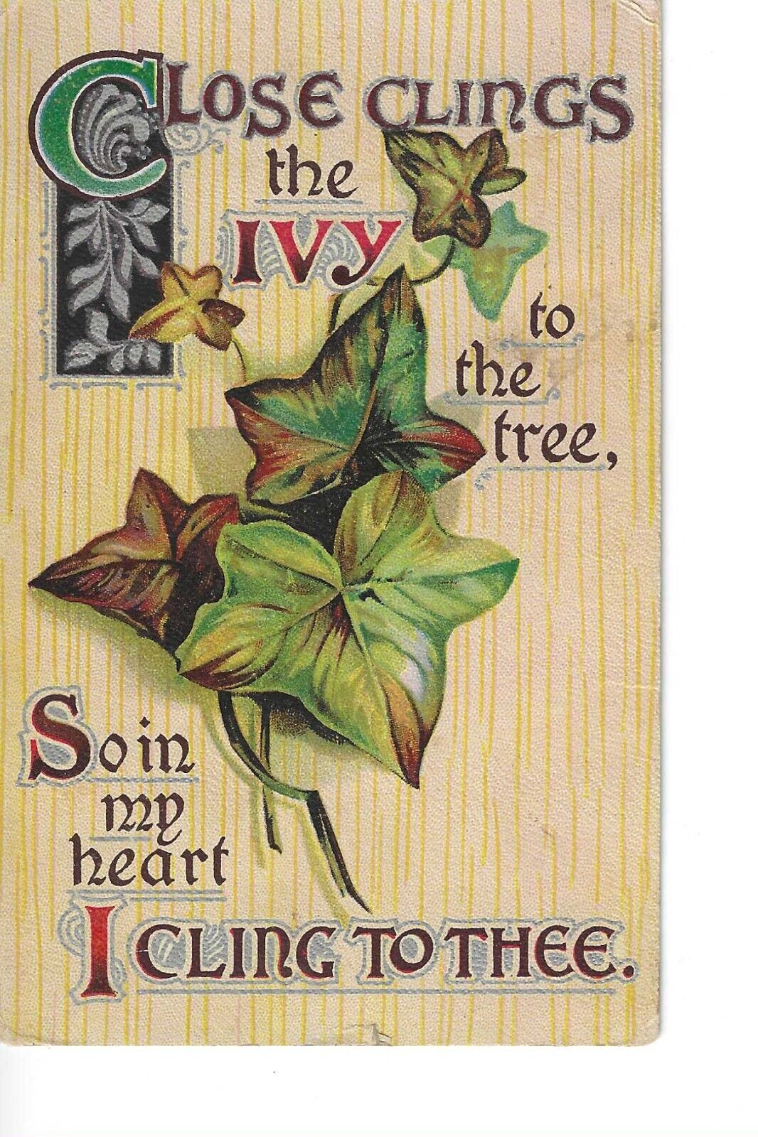 Vintage Postcard, Love~Close Clings The Ivy To The Tree~So I Cling To Thee