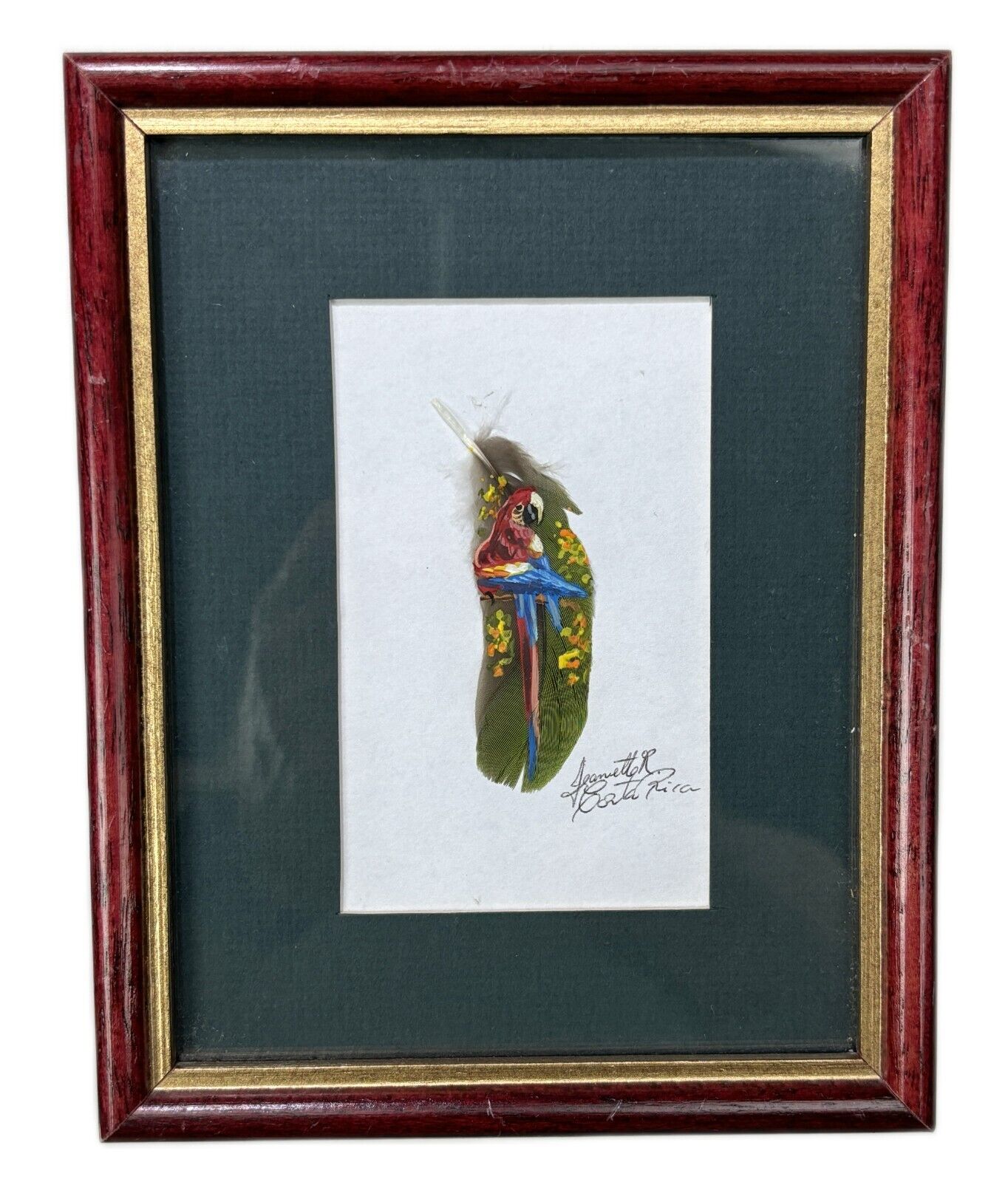 Painted Feather Parrot Bird Framed Art Picture Costa Rica Jeanette R.