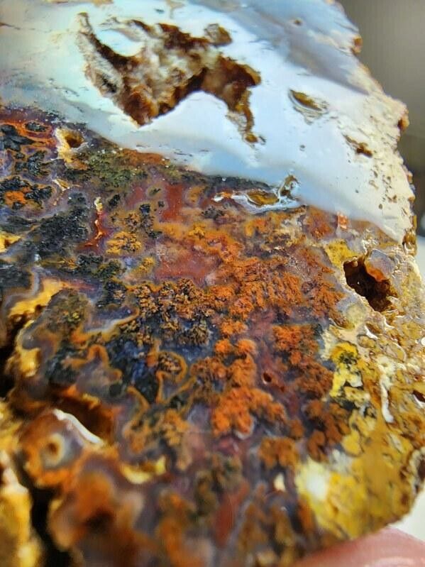 Powell Butte Plume Agate - Ultra RARE Central Oregon Old Stock, Cut Rough. (80g)