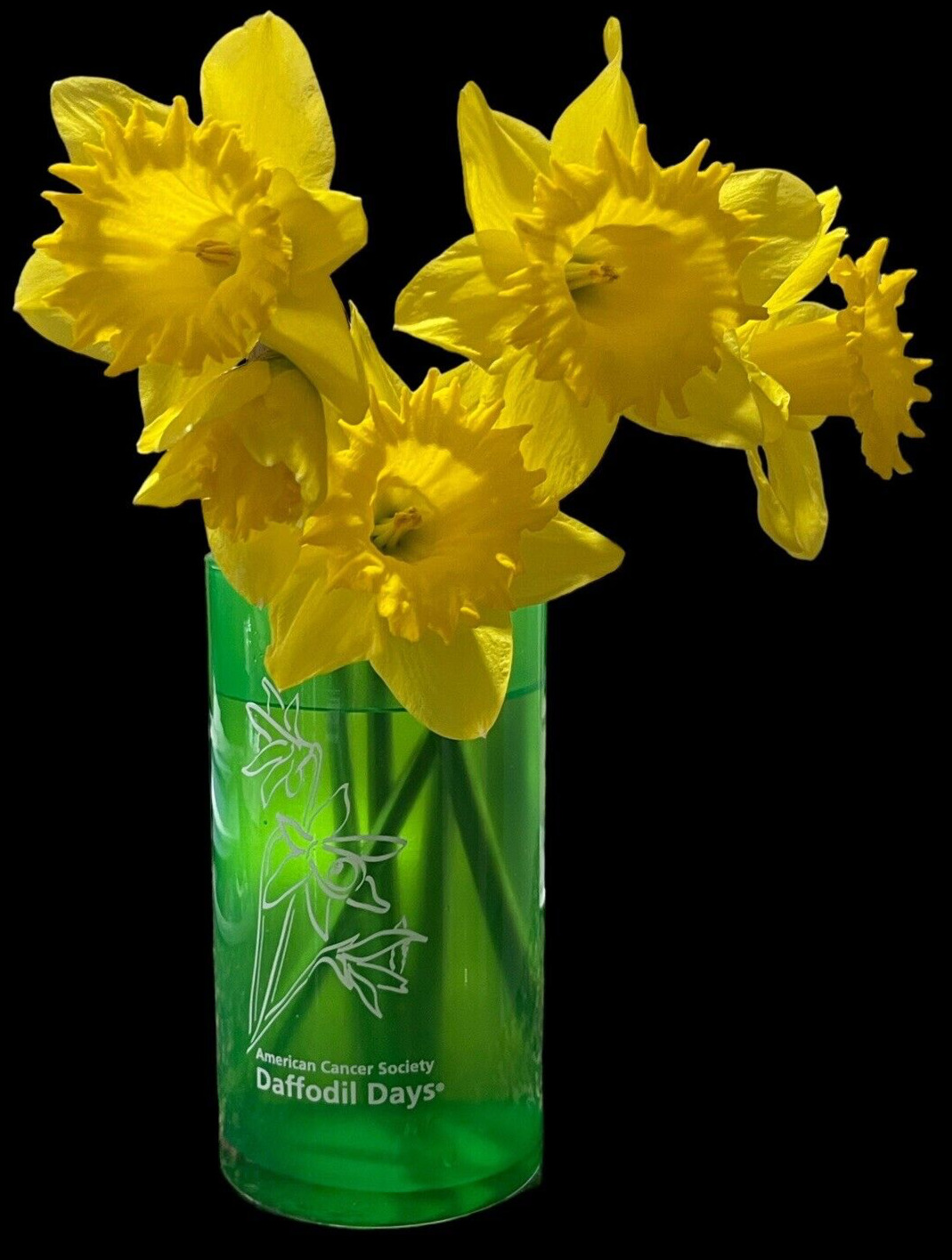 American Cancer Society Daffodil Days Green Glass Vase 6 1/4\