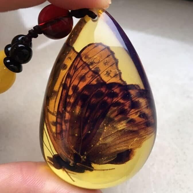 Butterfly Amber Fossil Insects Samples Stones Crystal Specimens Oval Pendants