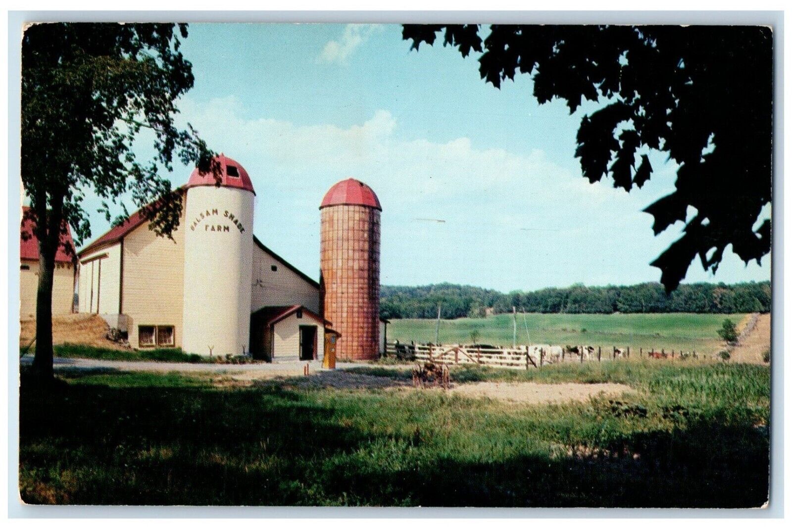 1958 The Balsam Shade Farm Greenville New York NY Posted Vintage Postcard
