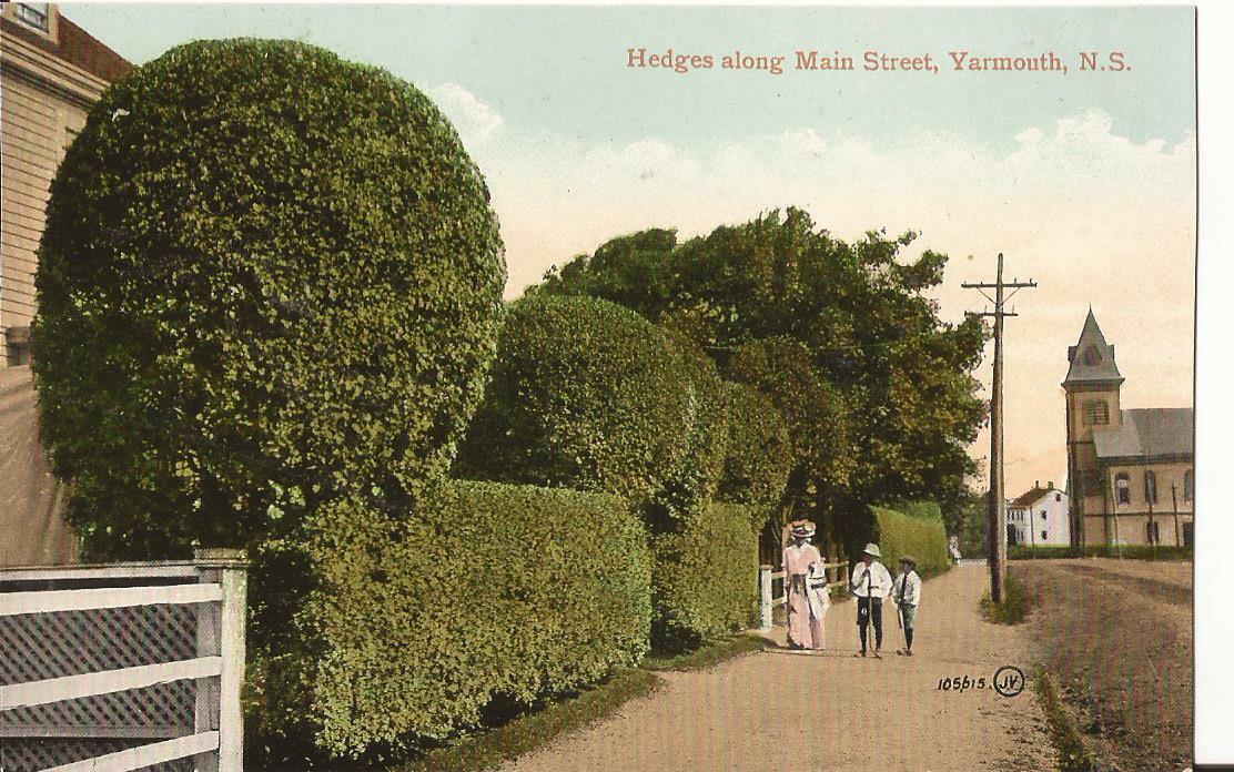 Yarmouth Nova Scotia Hedges Along Main Street Vintage Postcard C18