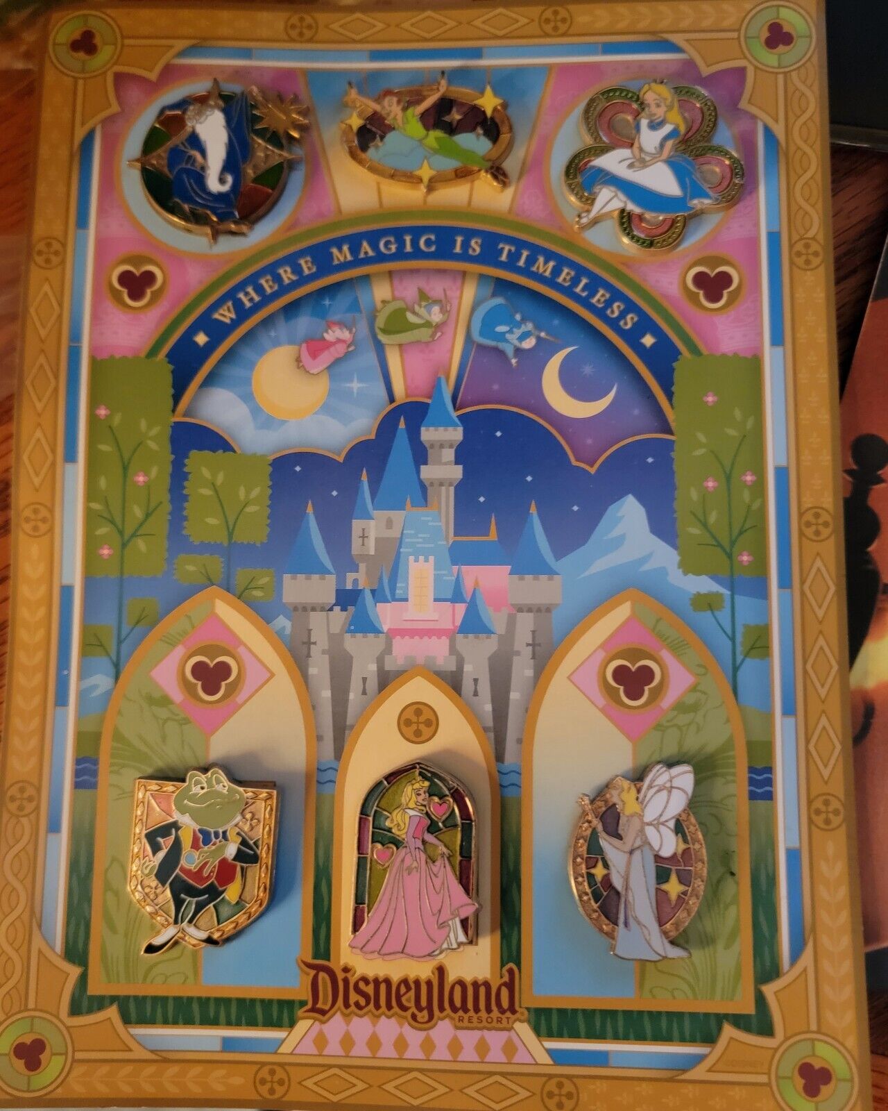Disney Disneyland DLR Where Magic is Timeless Map With Pins Attached 