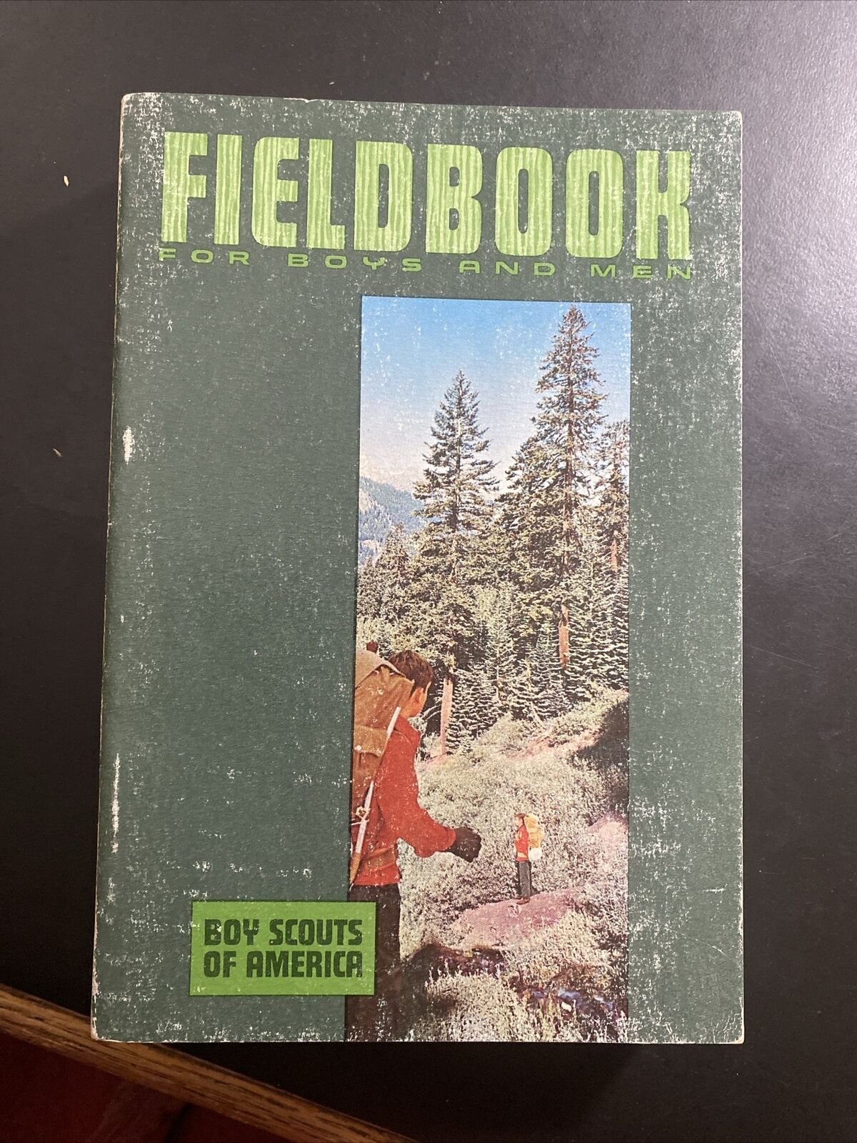 FieldBook for Boys and Men 1967/1969 Printing Boy Scouts of America BSA Outdoors