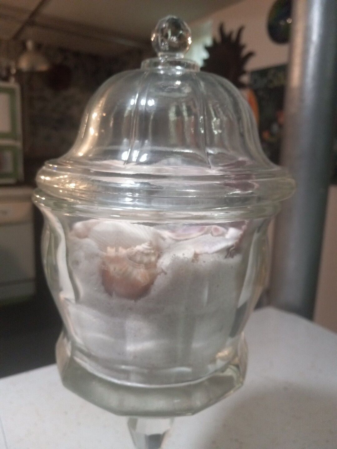 Vintage Indiana Glass Heavy Clear Panel Apothecary Jar Lid White Sand & Shells