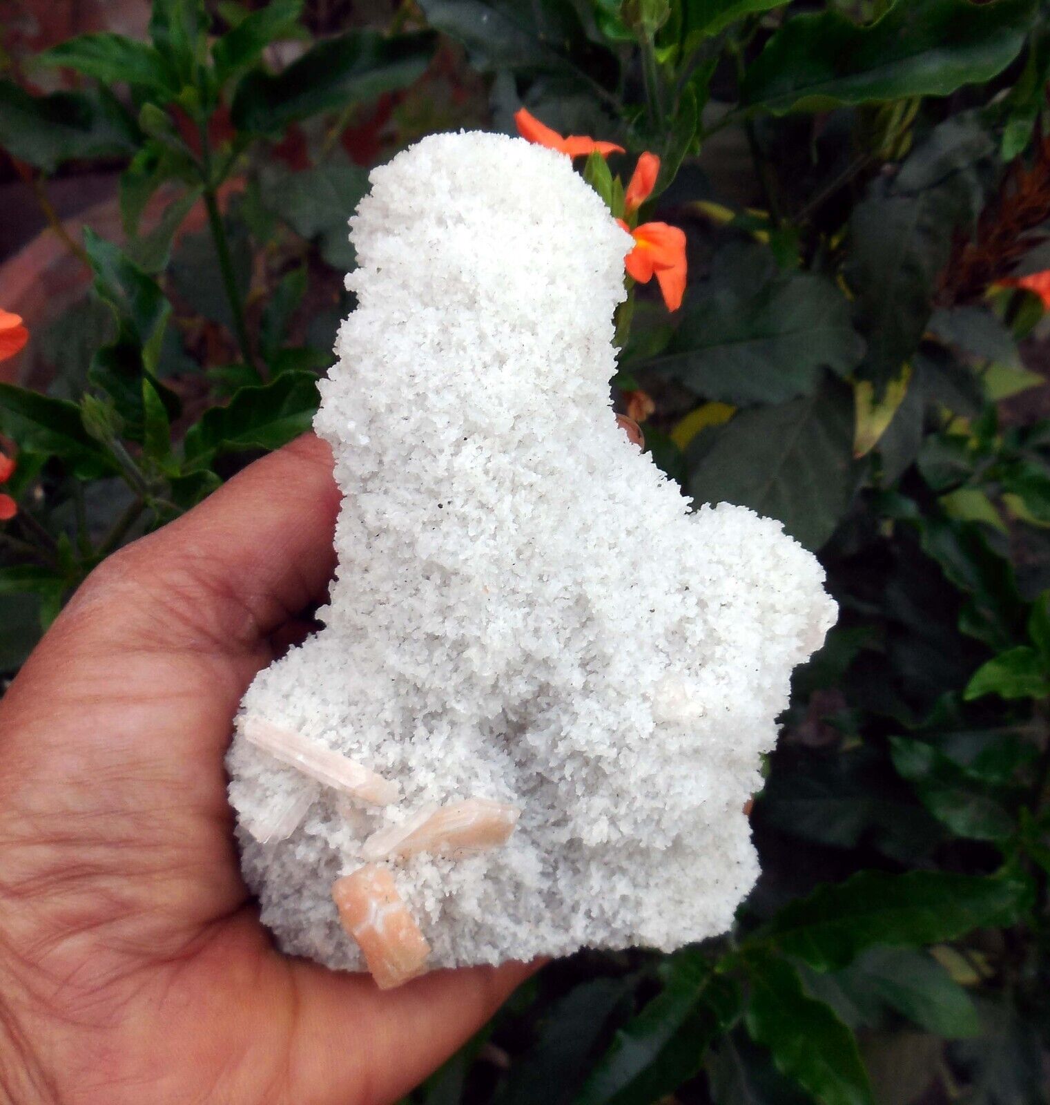 STILBITE On CHALCEDONY Coral Minerals A-4.24