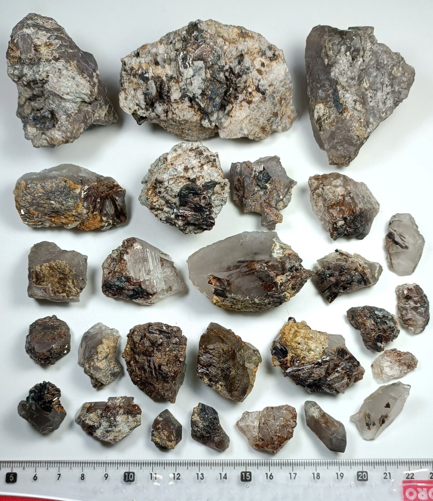 Rare Sagenite Var. Rutile Red Crystals on Quartz & Hematite, Shiny Specimens